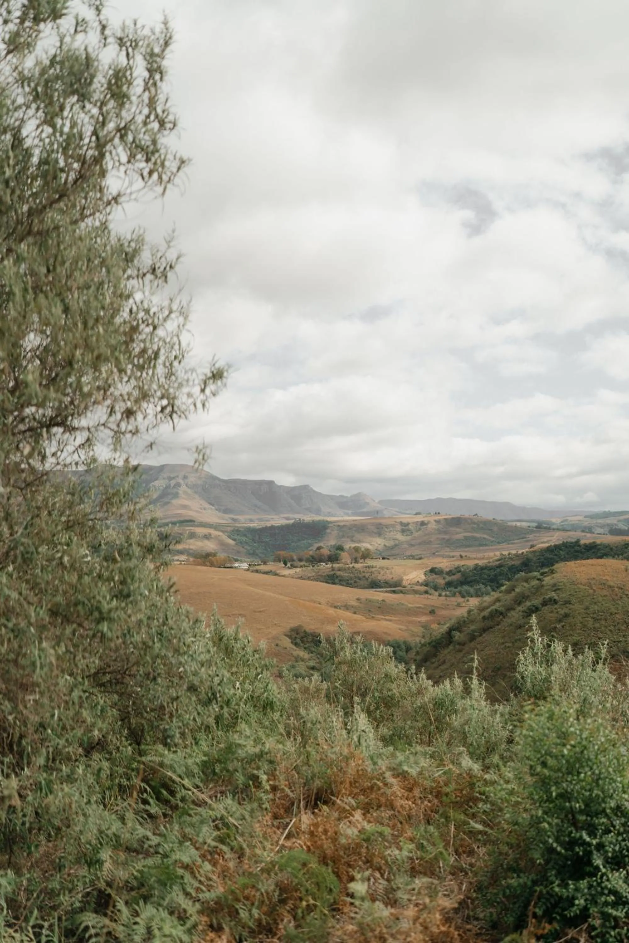Natural landscape in Dragonview Lodge