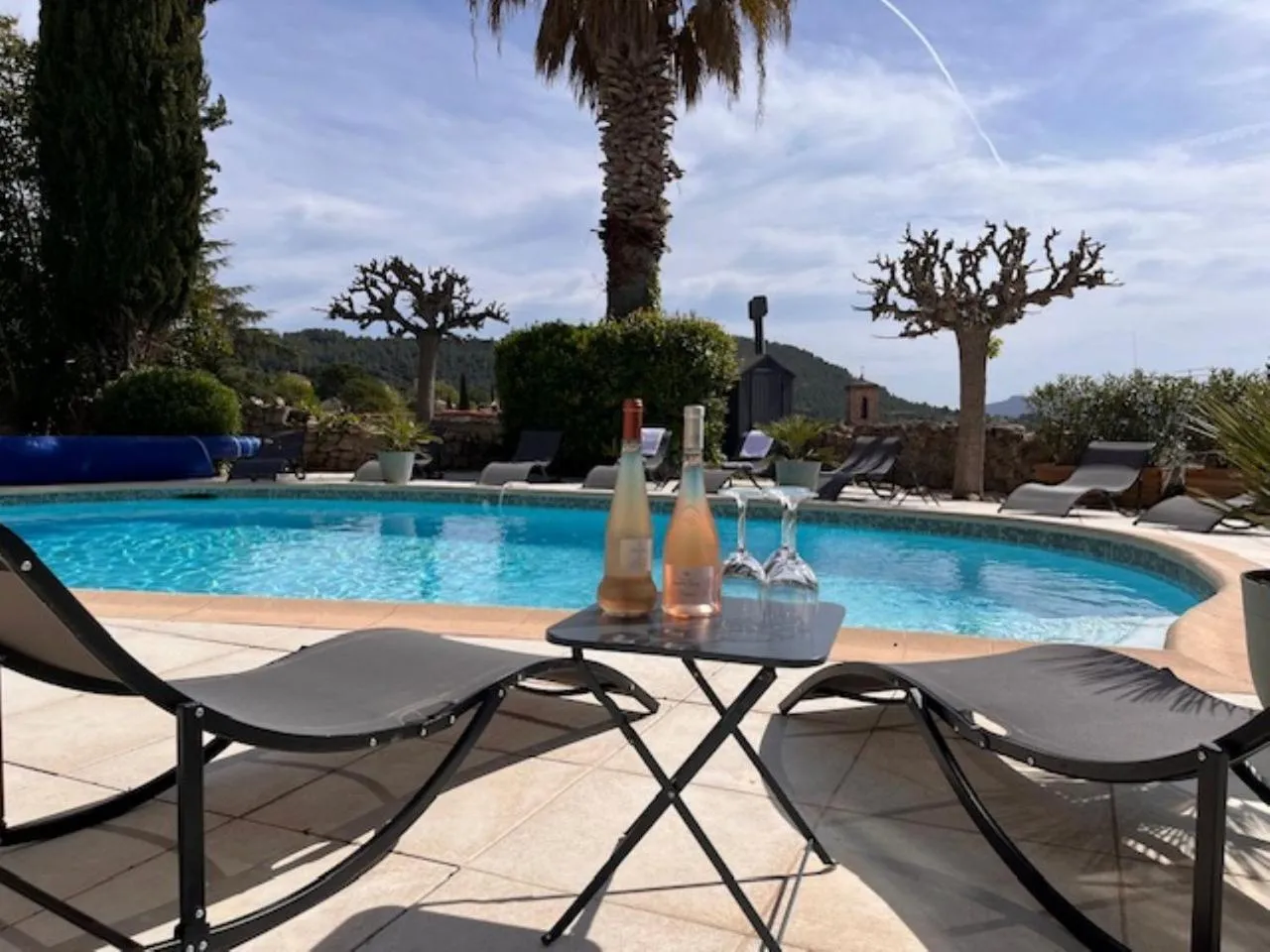 Swimming pool in Le Château d'Argens