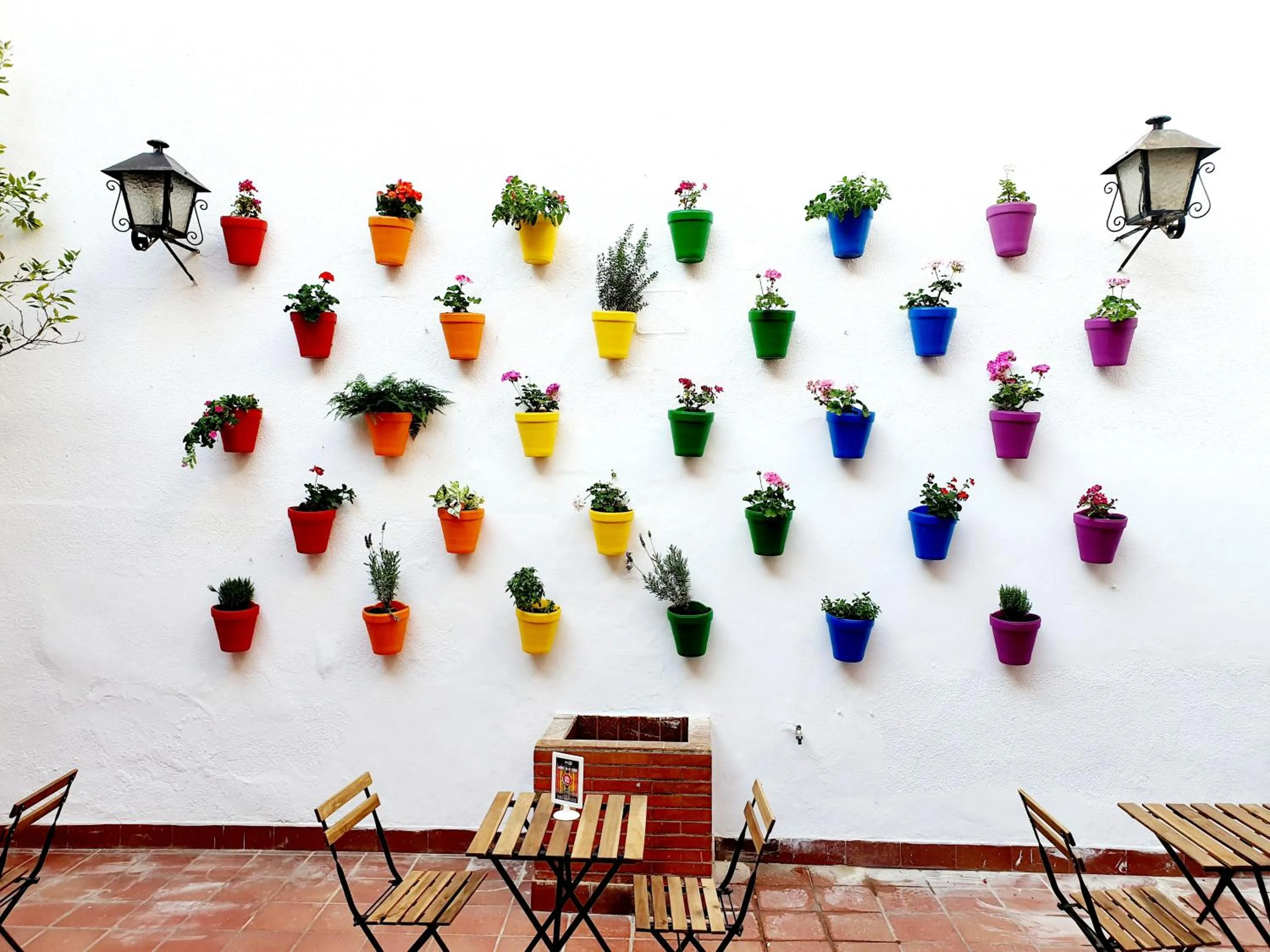 Garden view in Arc House Córdoba Only Adults