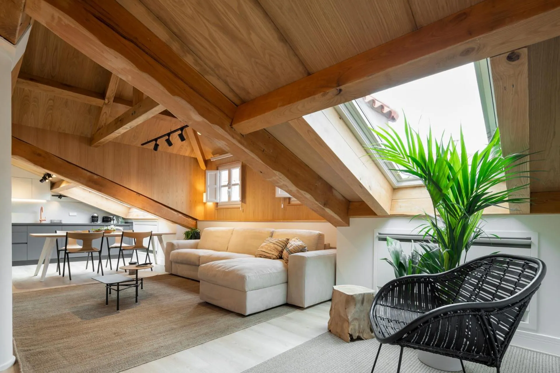 Photo of the whole room in NORO Plaza