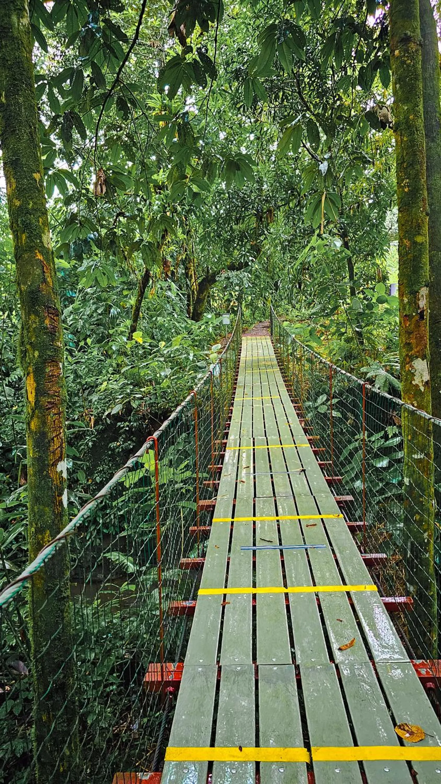 Natural landscape in Confort Arenal