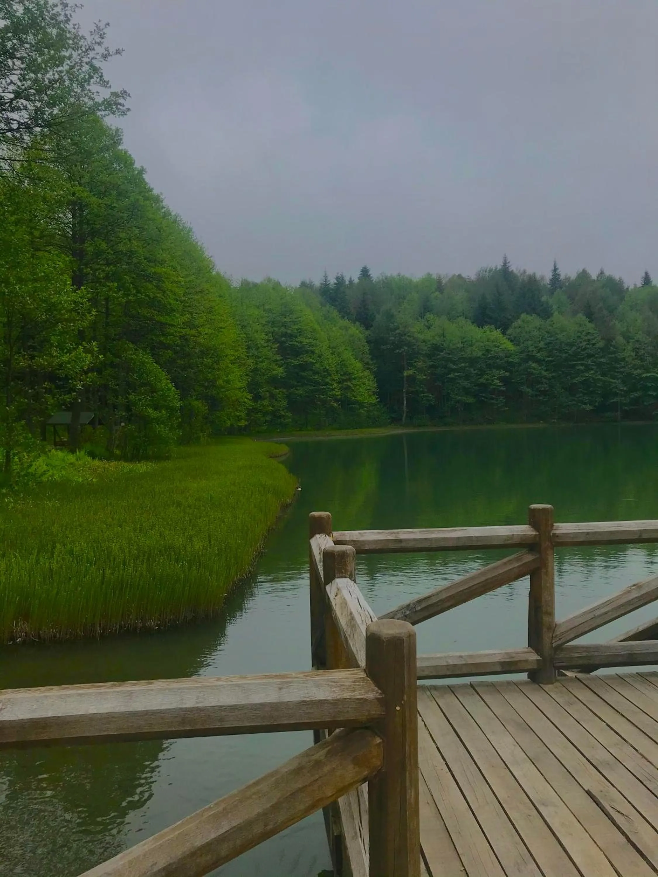 Natural landscape in River Didi Otel