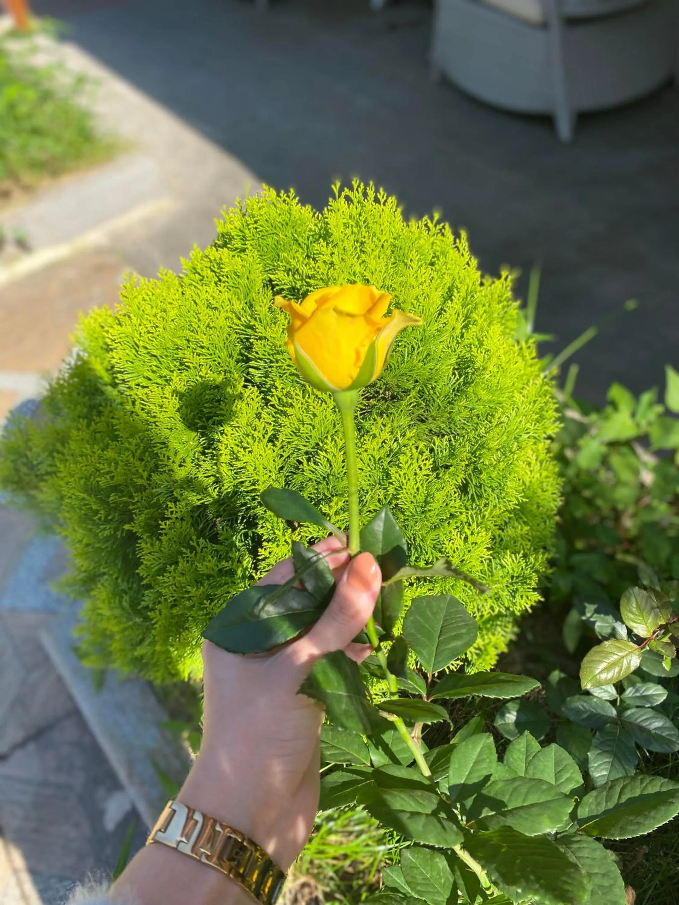 Property building in River Didi Otel