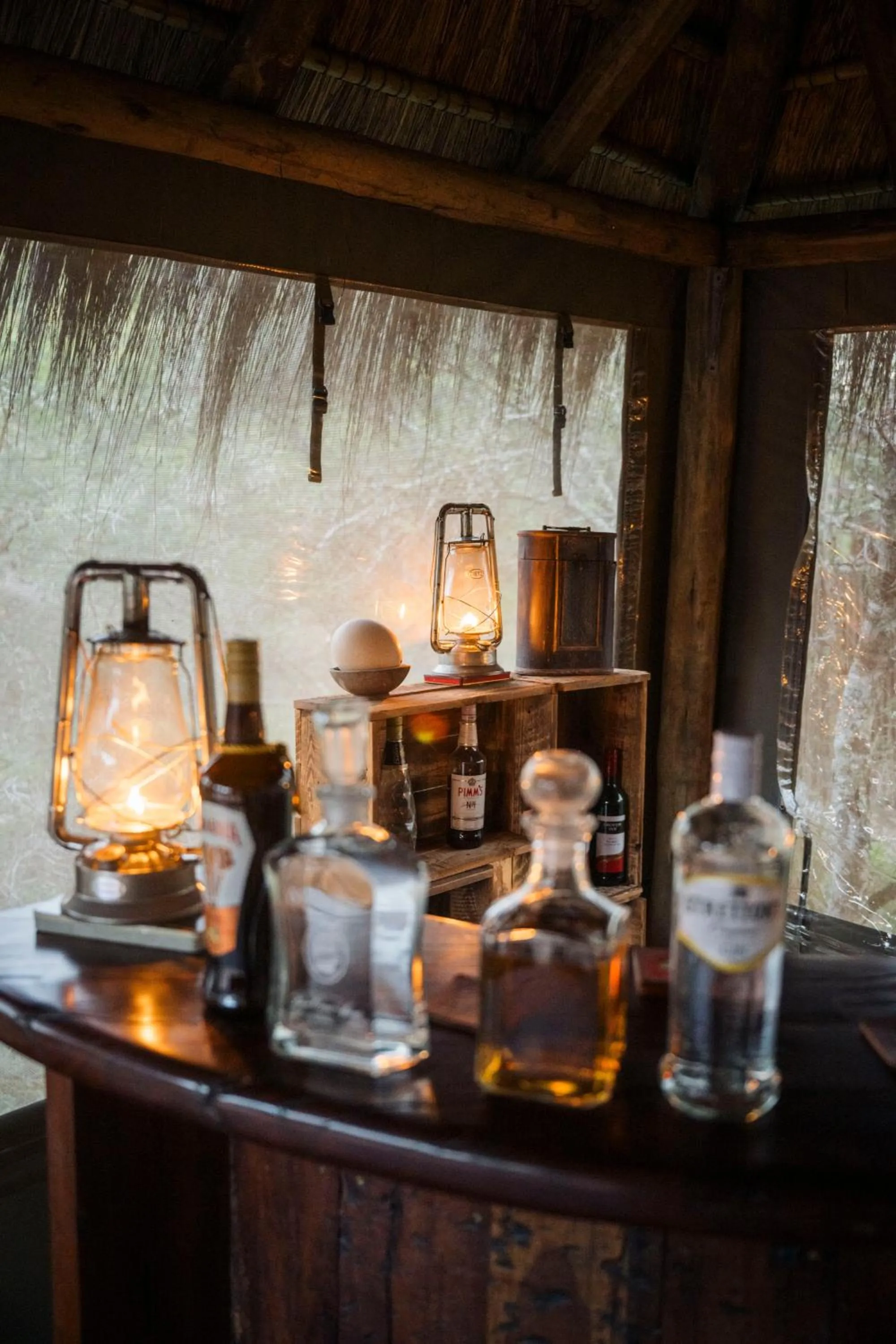 Lounge or bar in Quatermain's 1920's Safari Camp – Amakhala Game Reserve