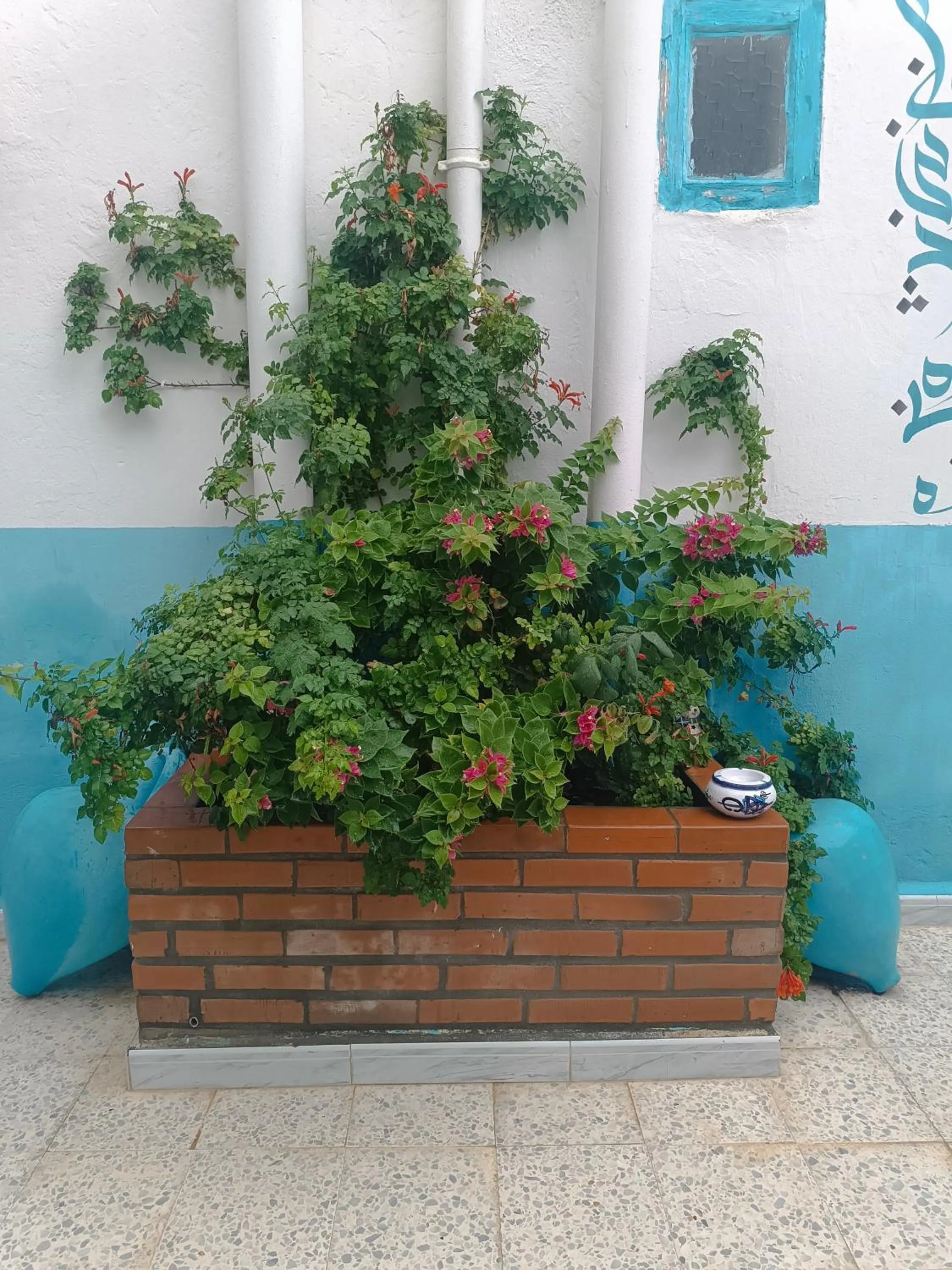 Garden in Dar Hkaïem