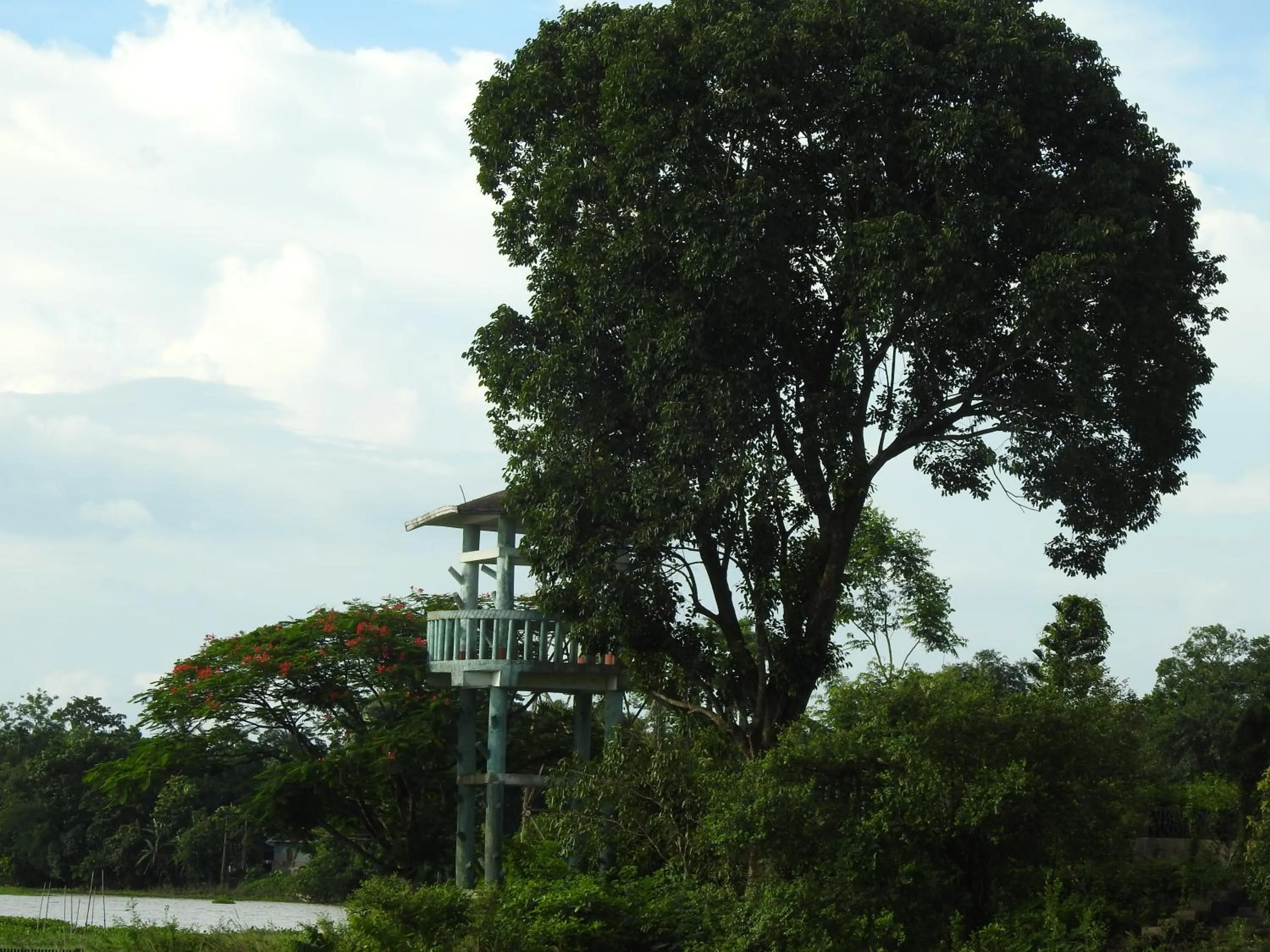 View (from property/room) in Lake Side Resort Neermahal