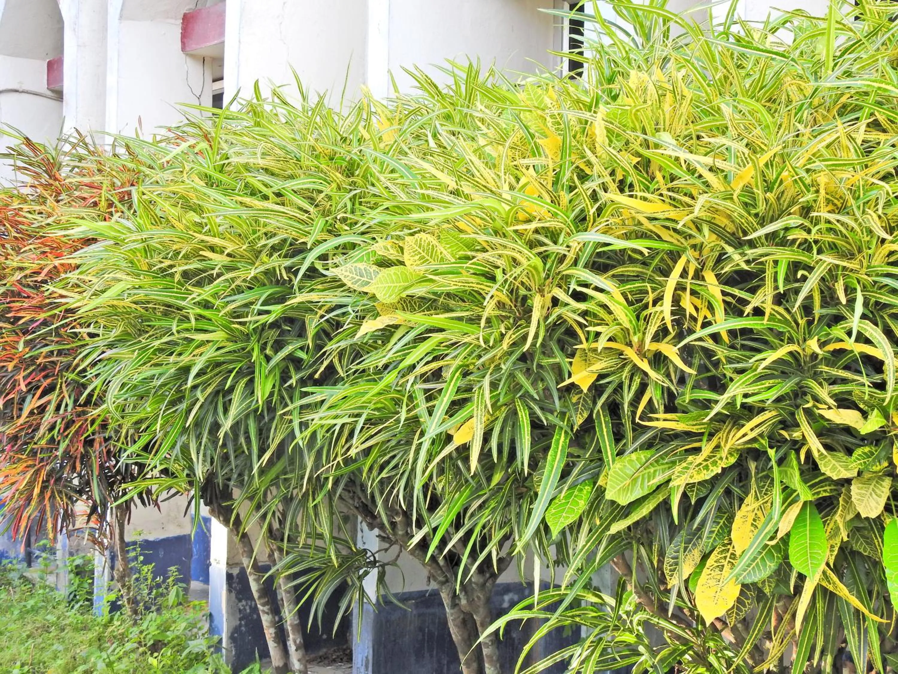 Property building in Lake Side Resort Neermahal