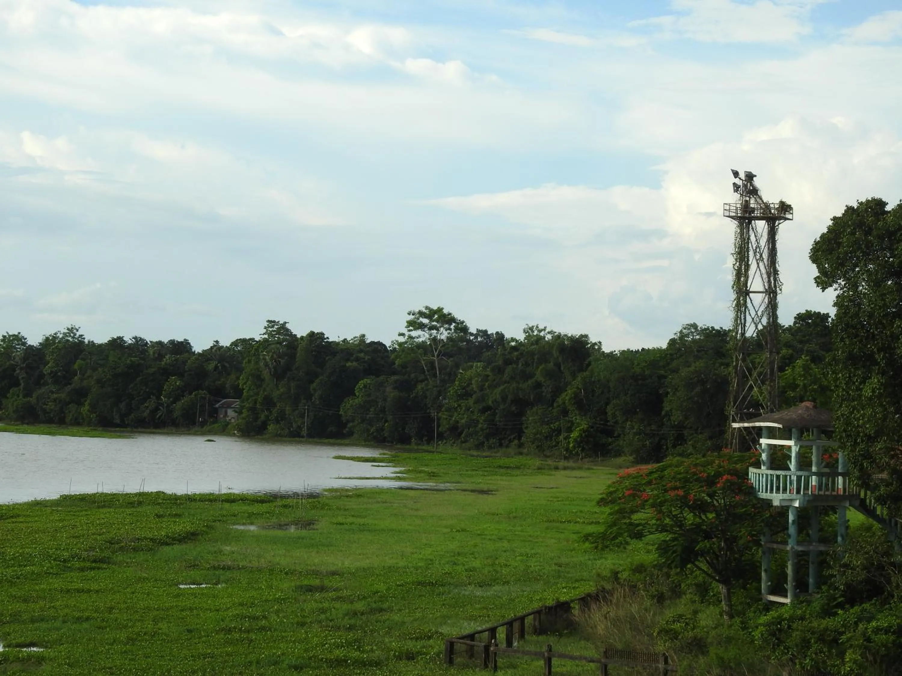 View (from property/room) in Lake Side Resort Neermahal
