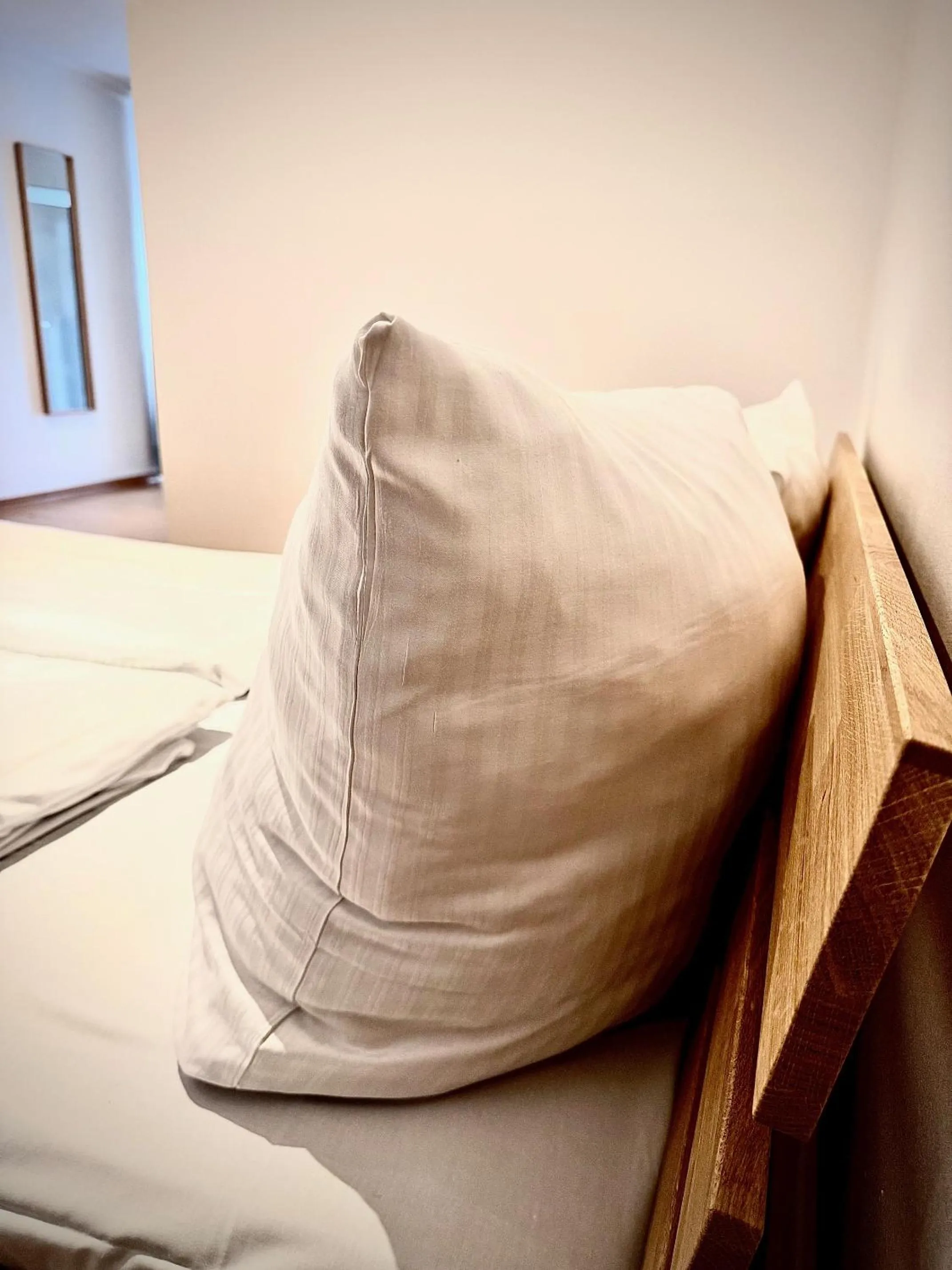 Photo of the whole room, Bed in Erlanger Hof