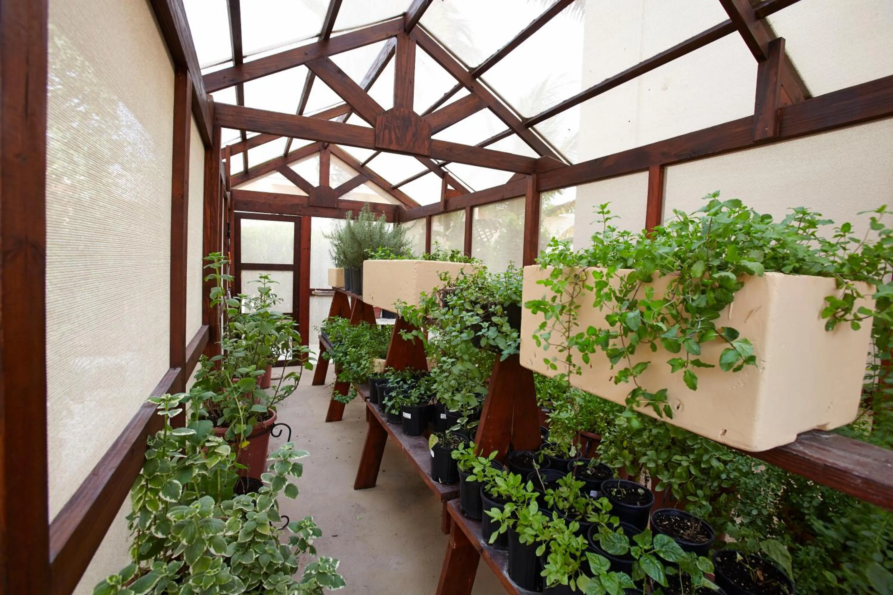 Garden in Manchebo Beach Resort and Spa