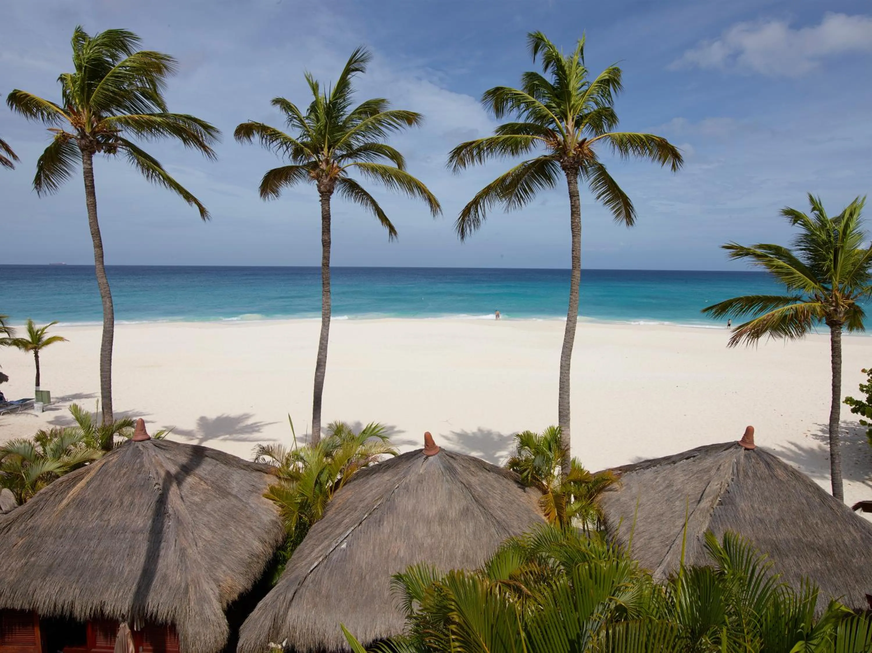 Beach in Manchebo Beach Resort and Spa