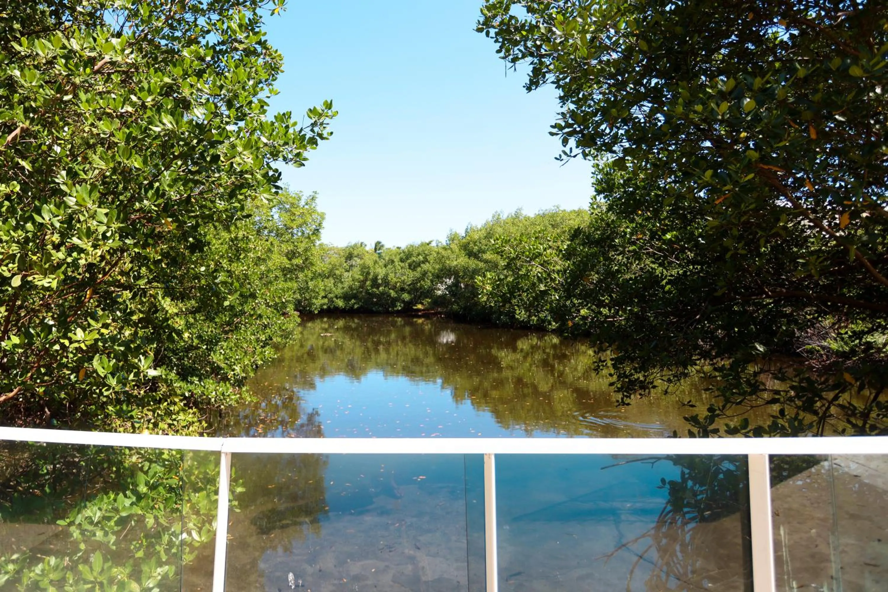 Day in Pousada Jirituba