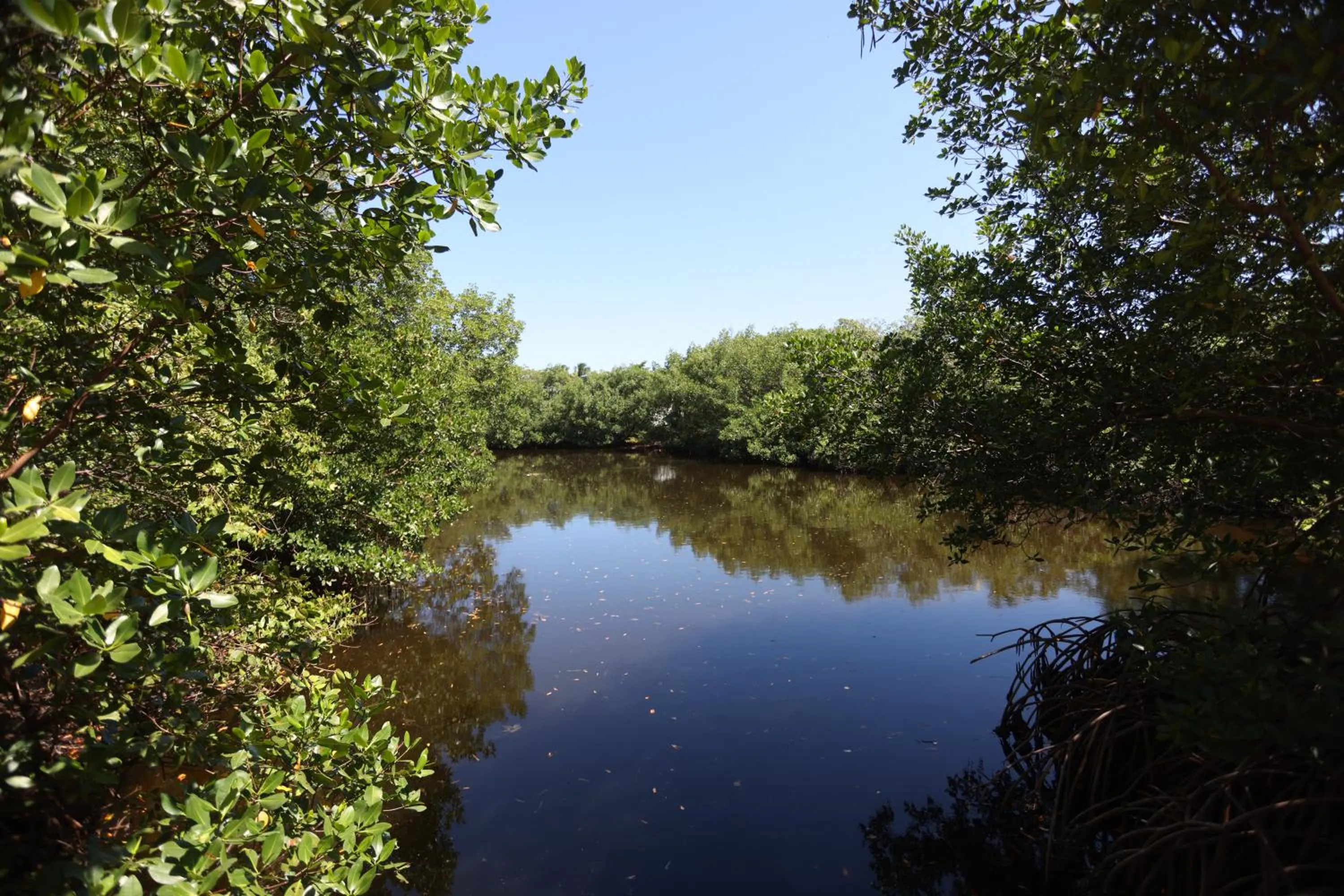 Natural landscape in Pousada Jirituba