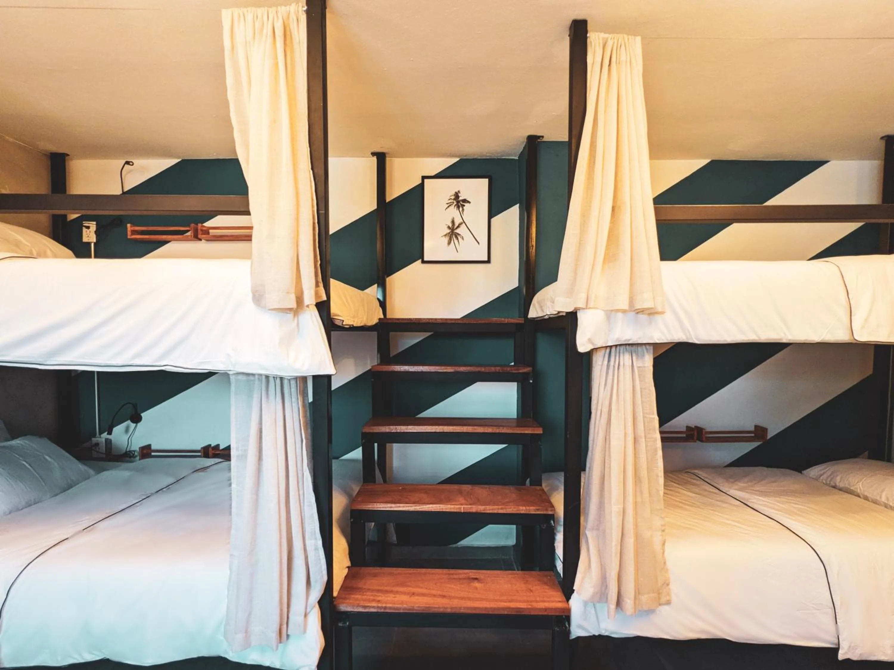 bunk bed, Bed in The Surfing Turtle