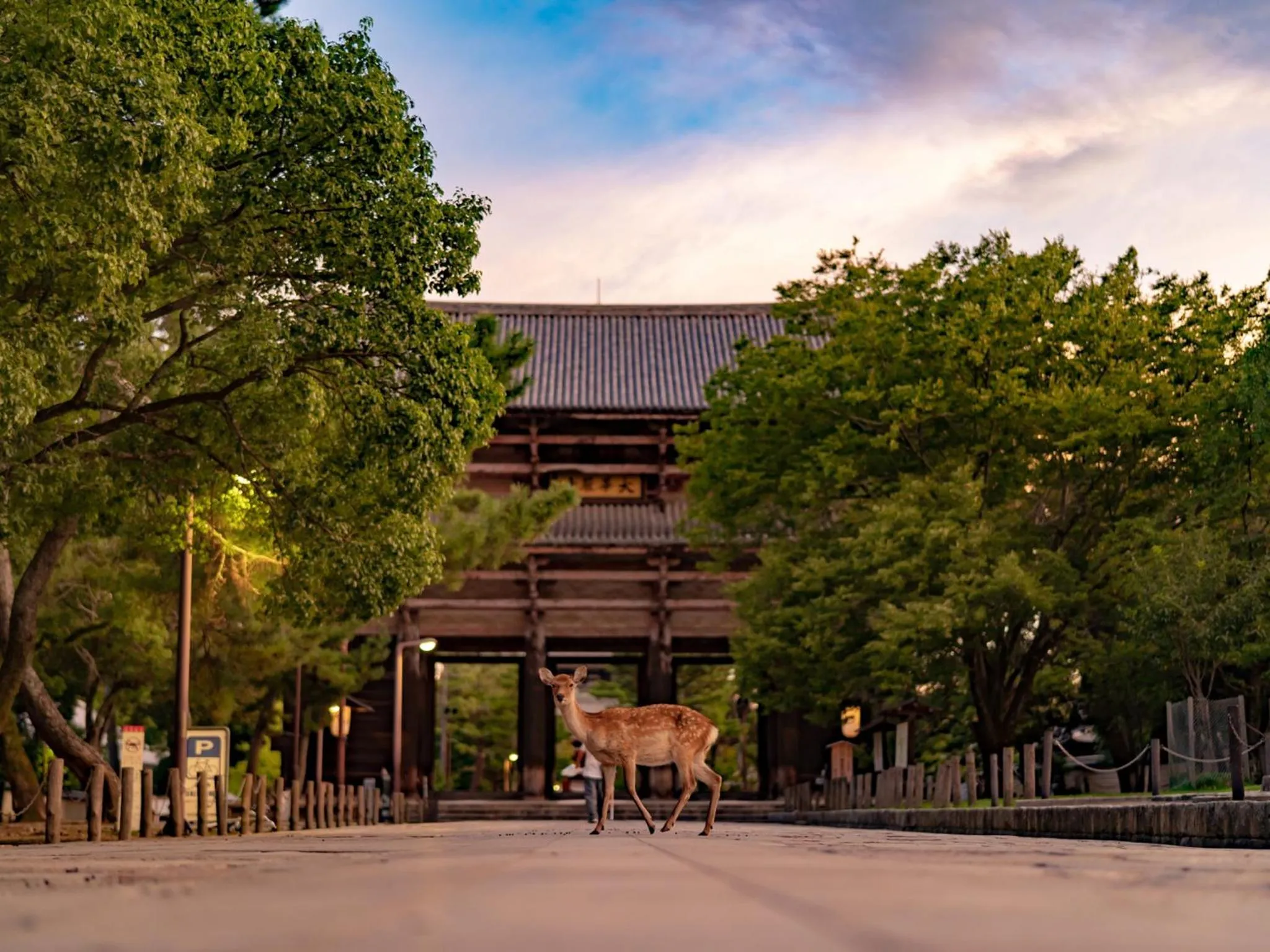 Nearby landmark in Hotel Tenpyo Naramachi