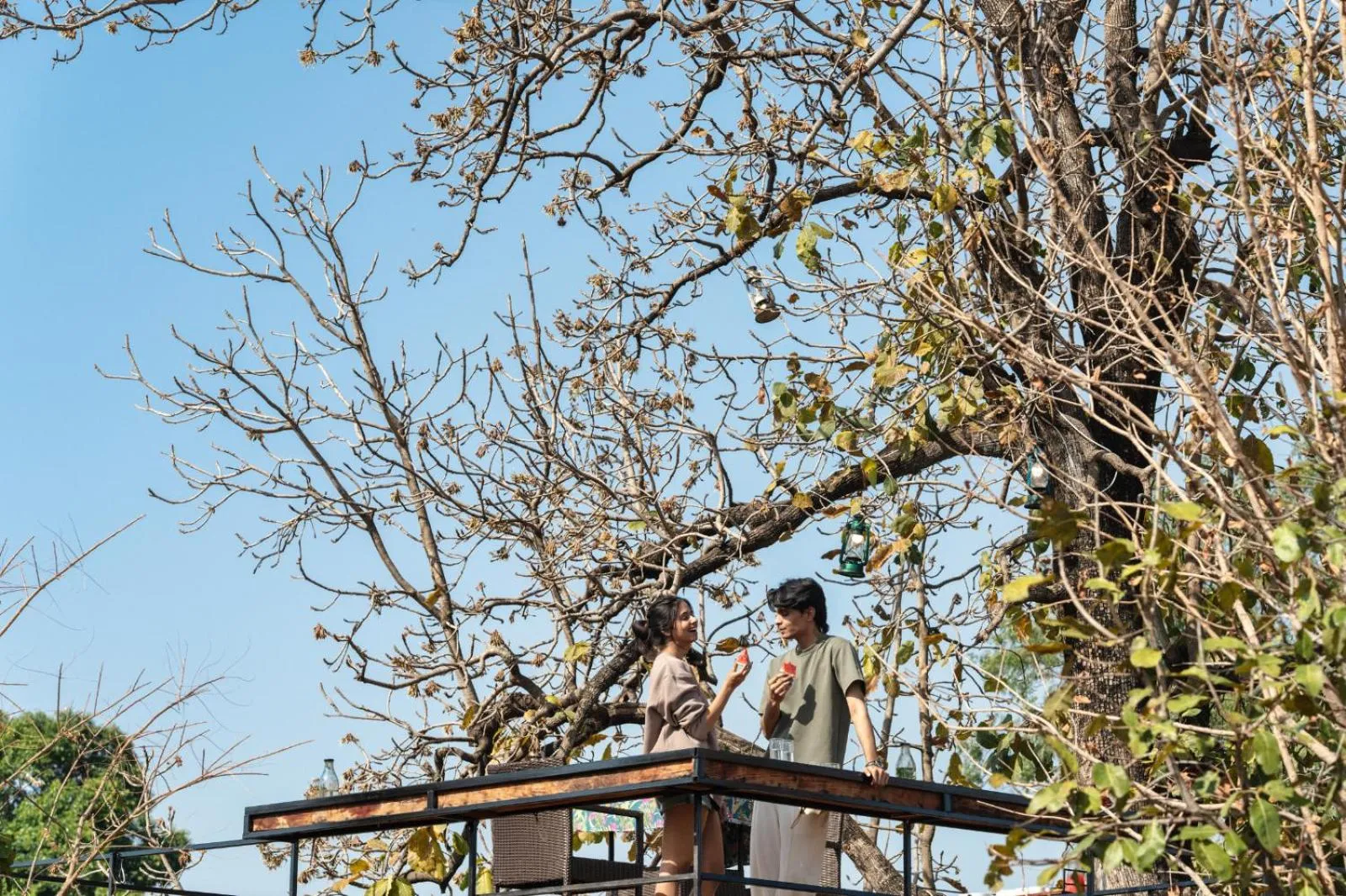 Natural landscape in Panarpani Retreat Pachmarhi