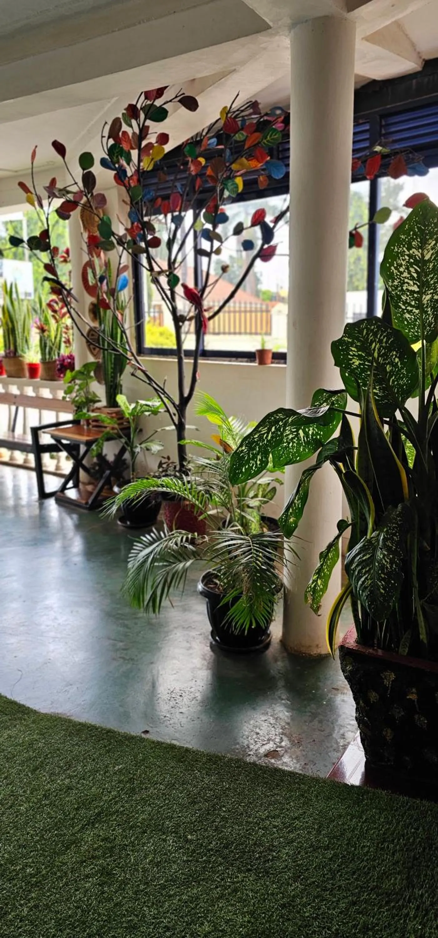 Lobby or reception in Northern Pearl