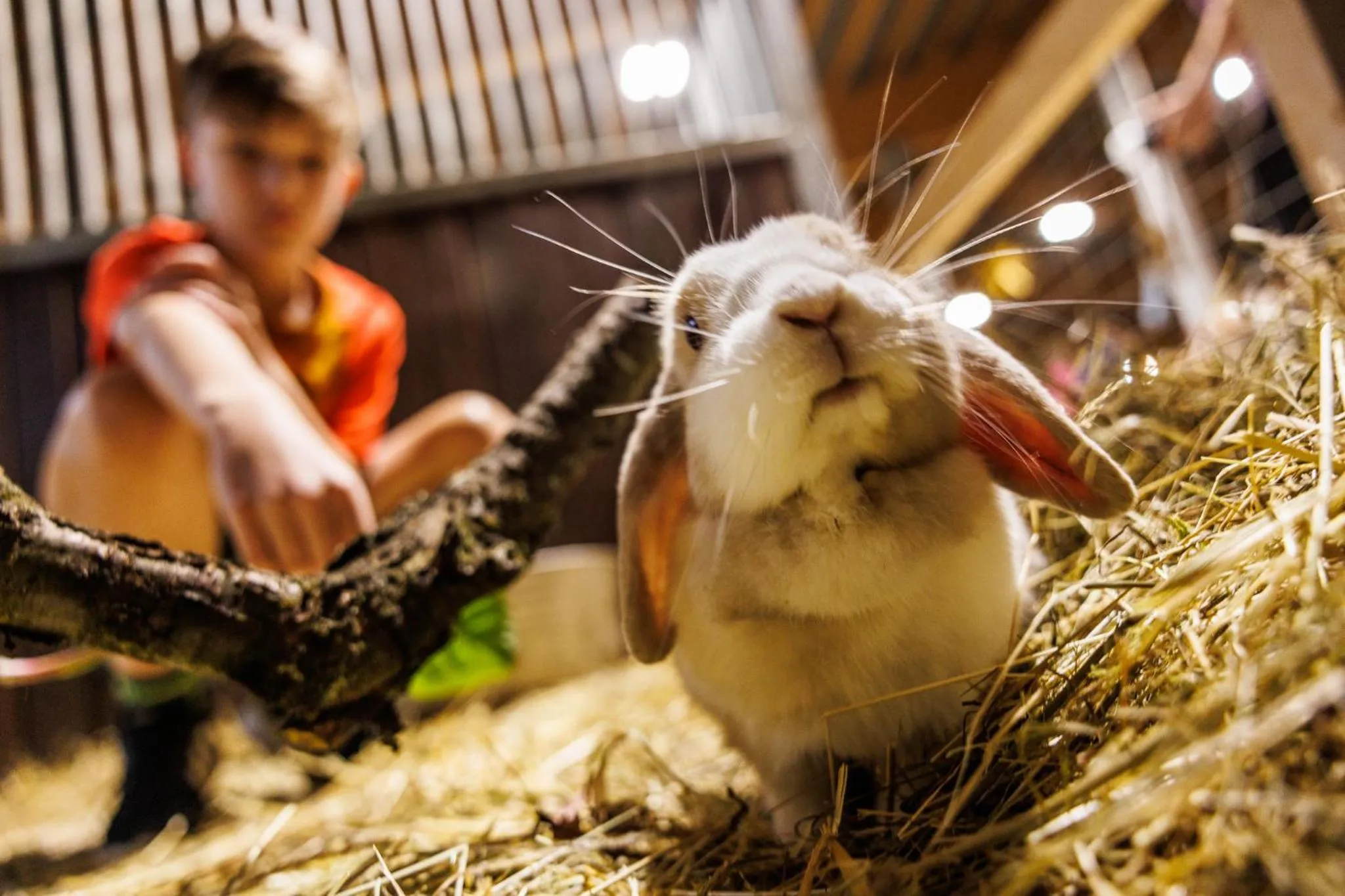 Children play ground in Elldus Resort