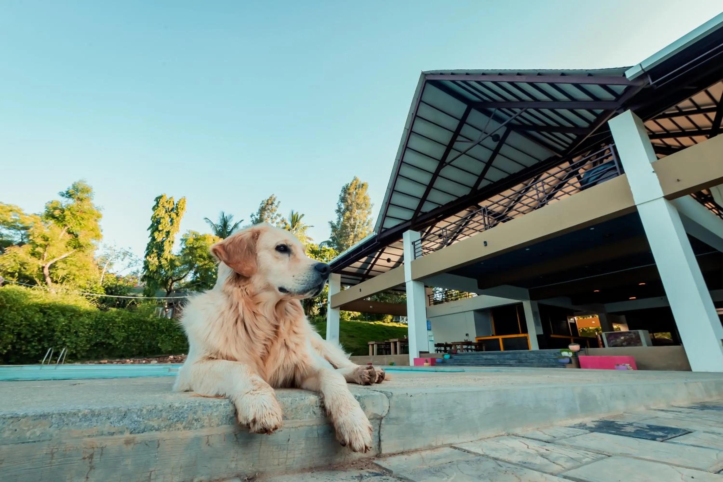 Pets in Commune18 Resort Chikmagalur