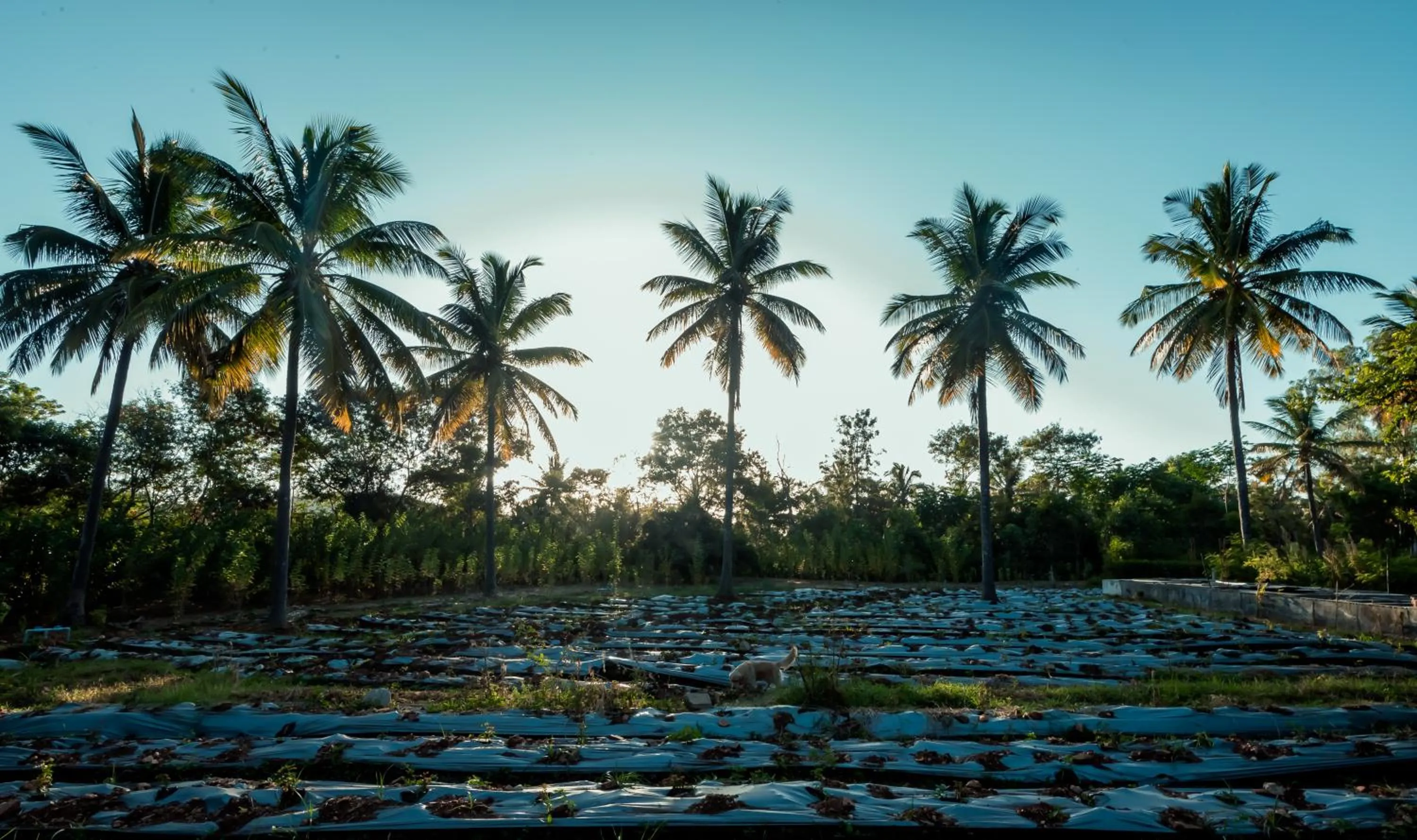 Day in Commune18 Resort Chikmagalur