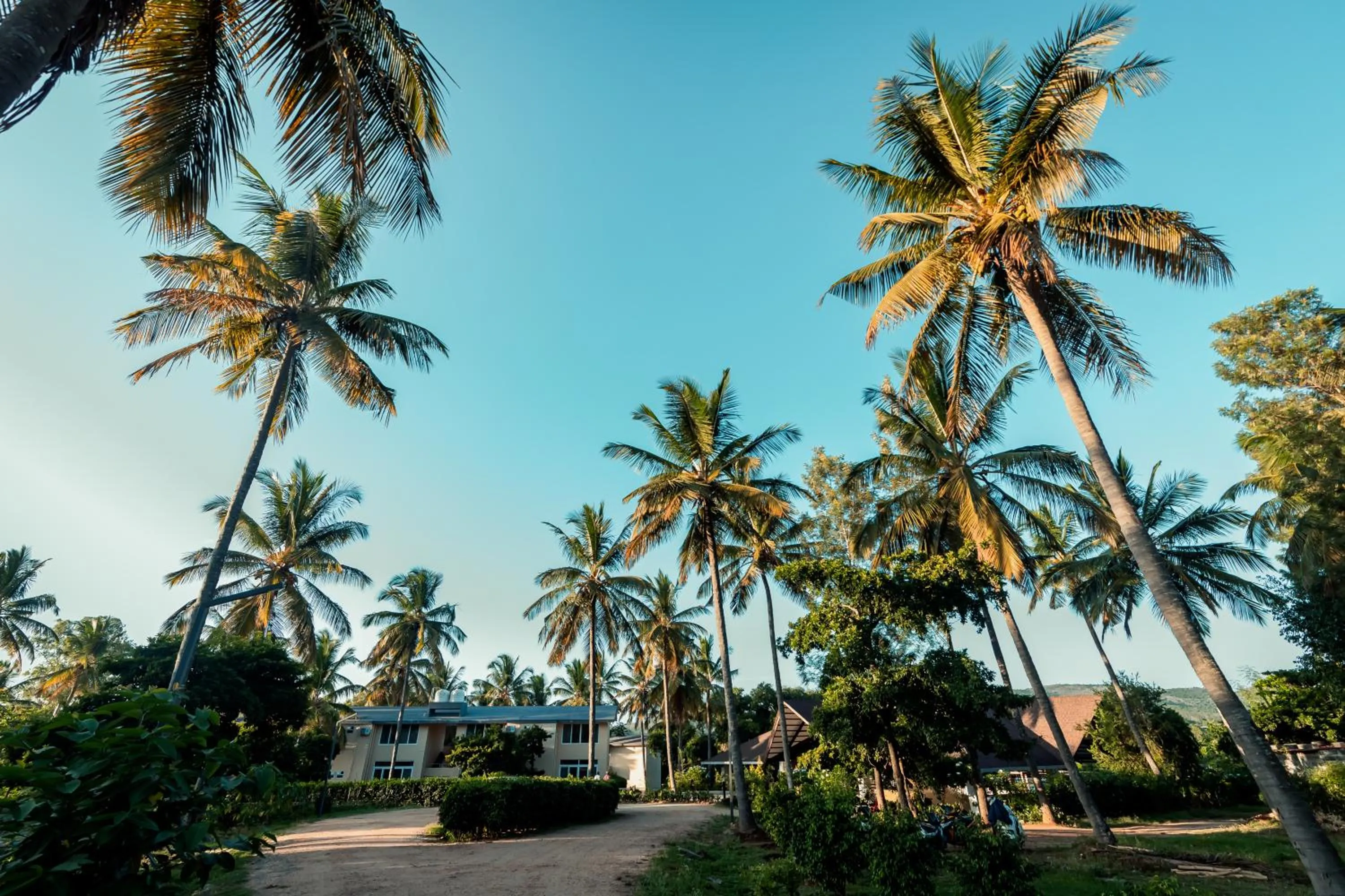 Natural landscape in Commune18 Resort Chikmagalur
