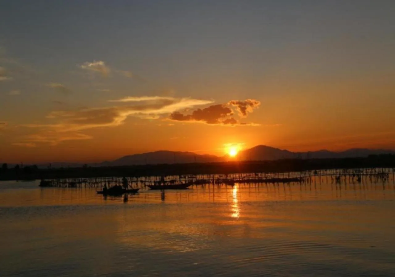 Natural landscape in Hoi An Riverside Villas & Apartments