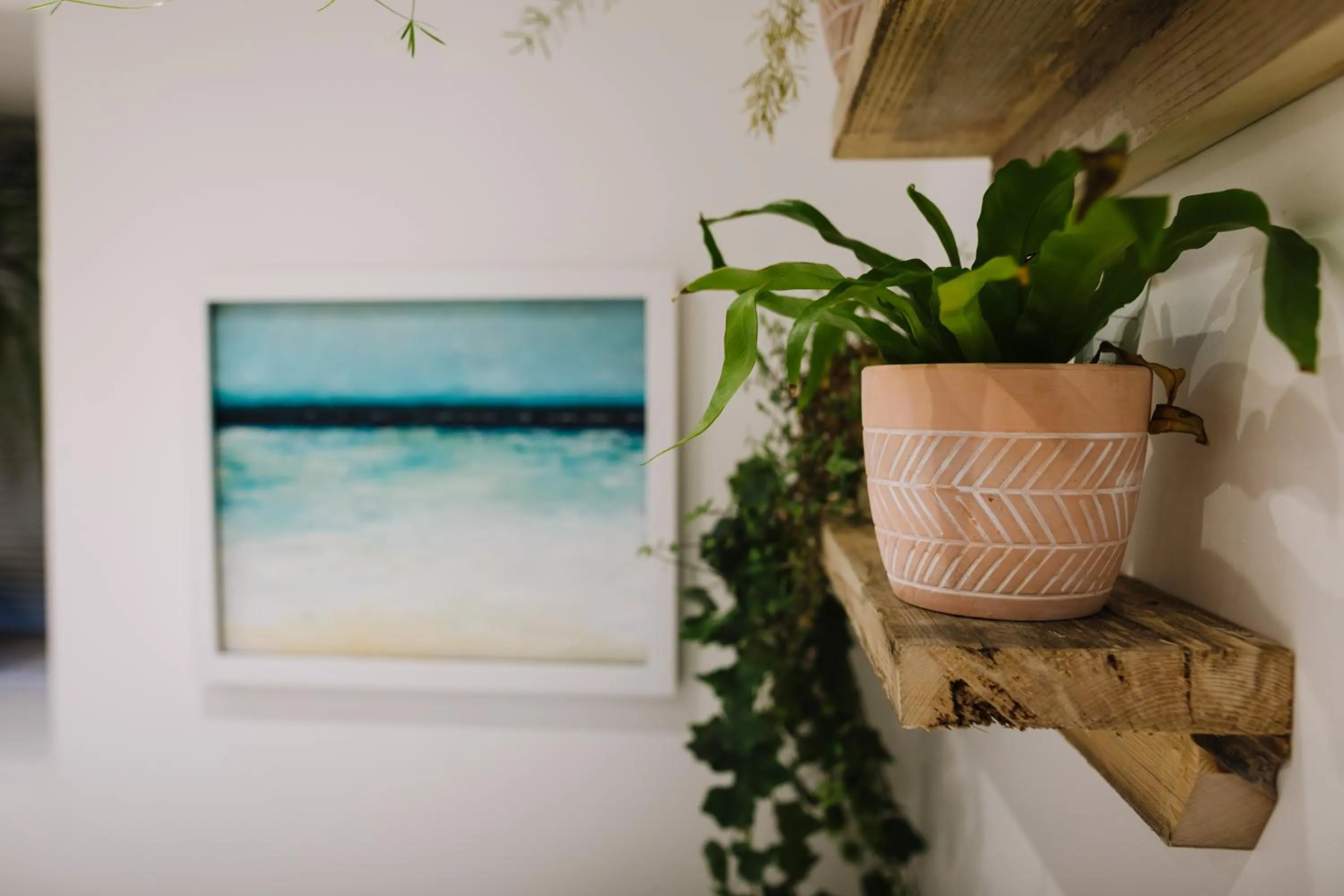 The Tal-Y-Cafn Hotel