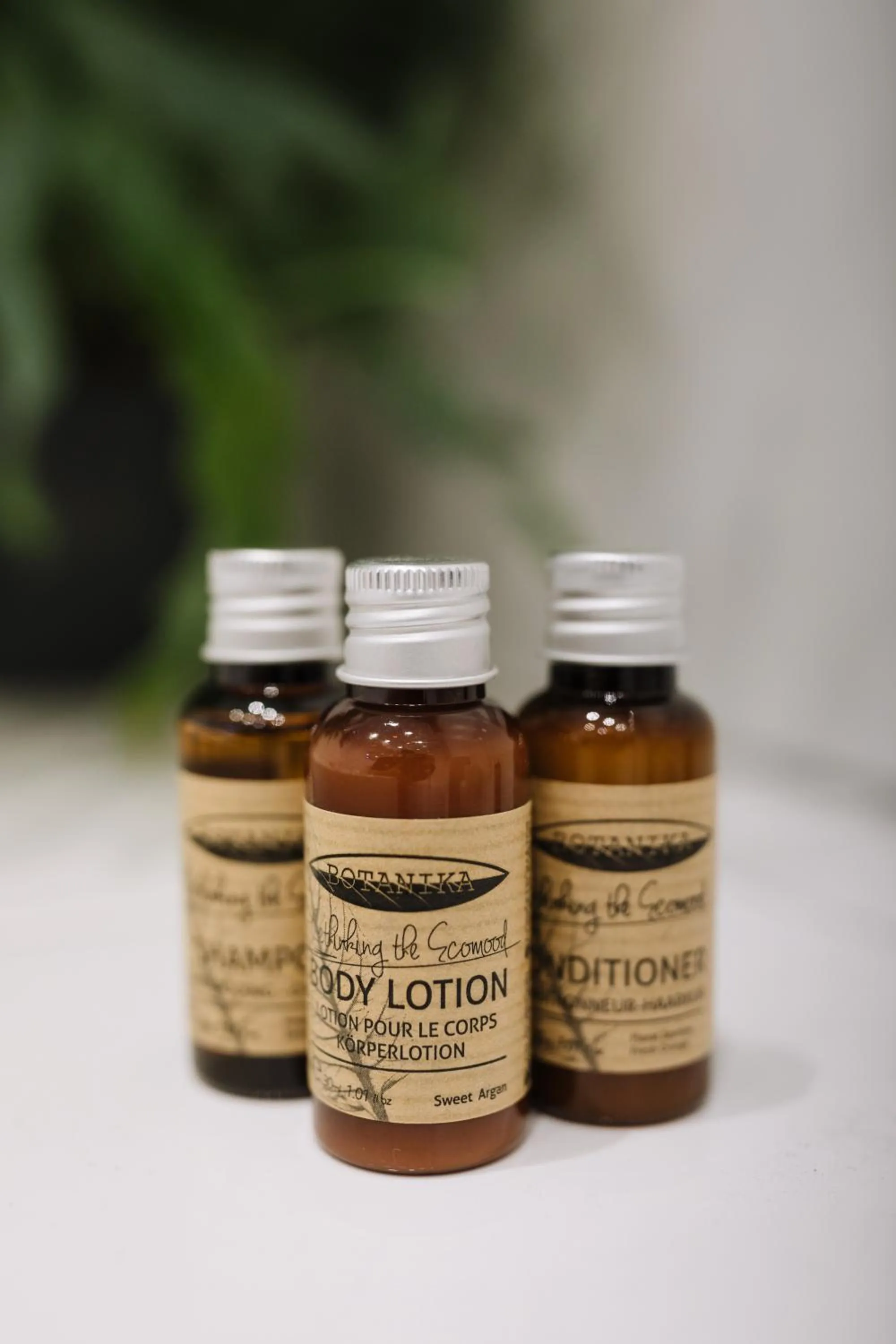 The Tal-Y-Cafn Hotel