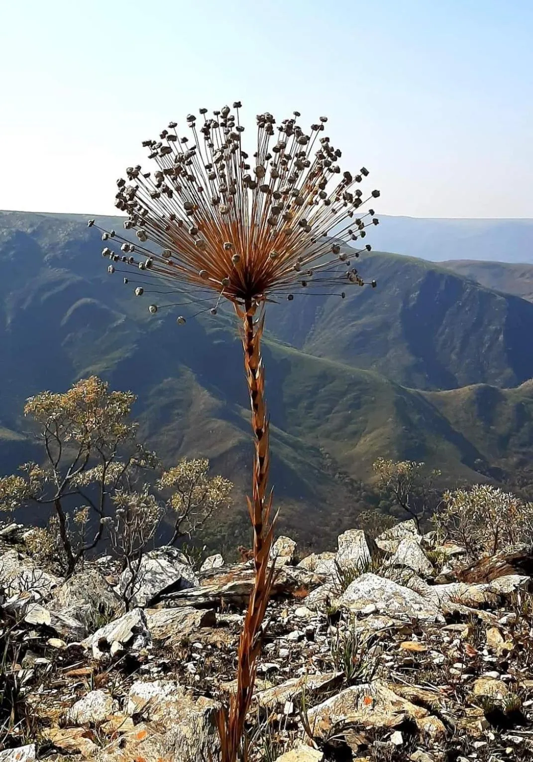 Natural landscape in Pousada Pérola Mineira