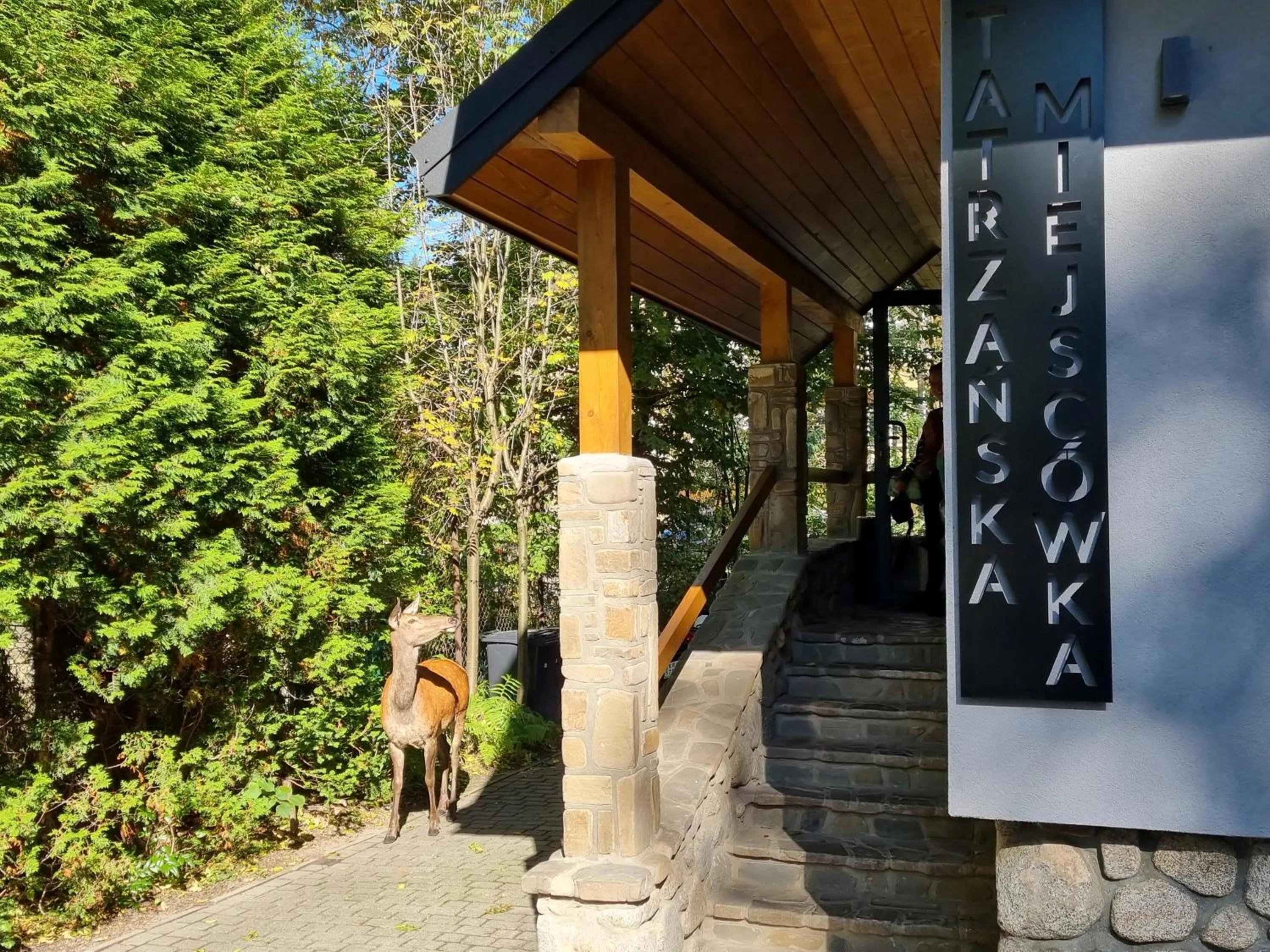 Property building in Tatrzańska Miejscówka - Apartamenty Centrum