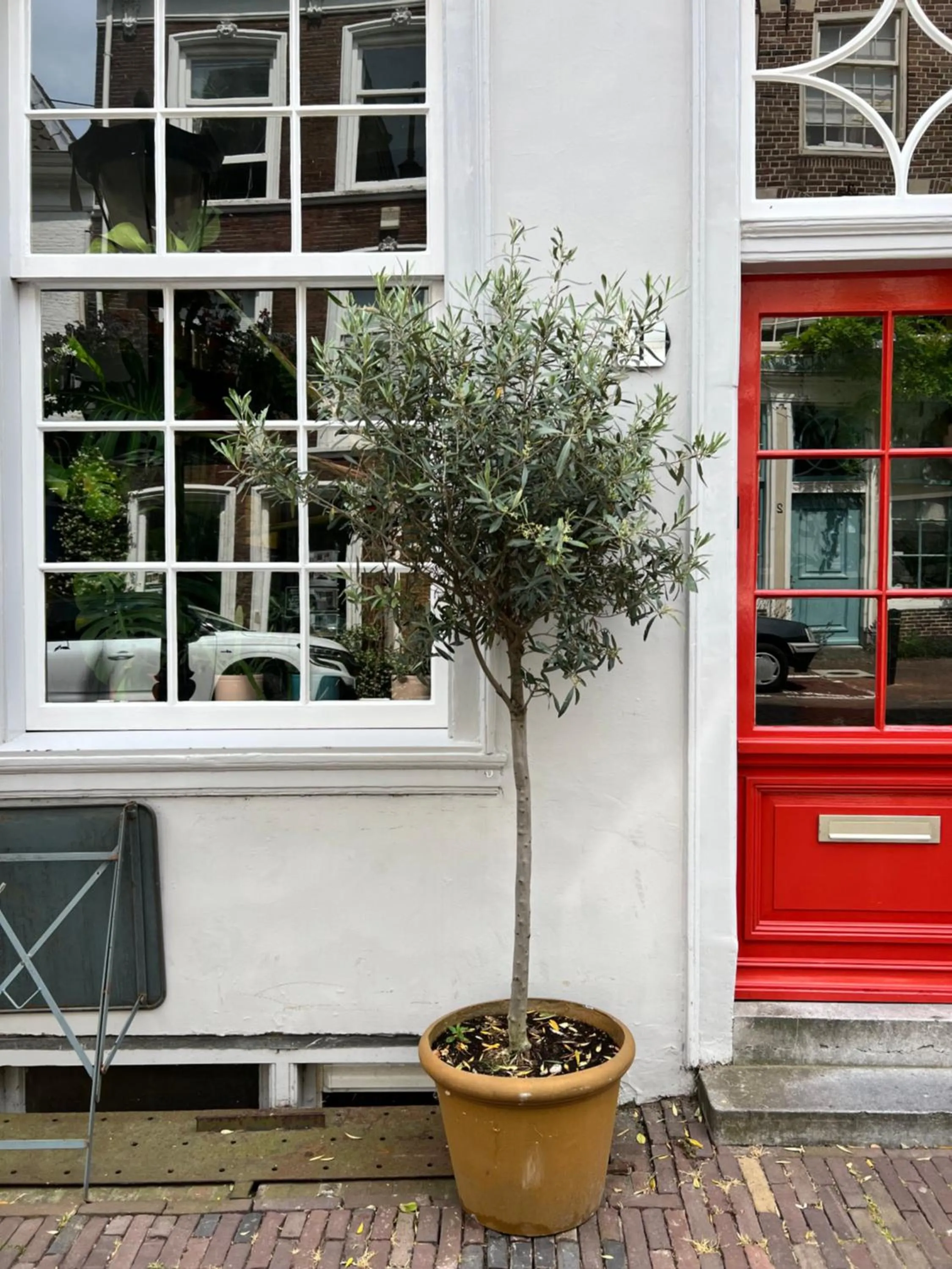 Day in Daen’s Greenhouse