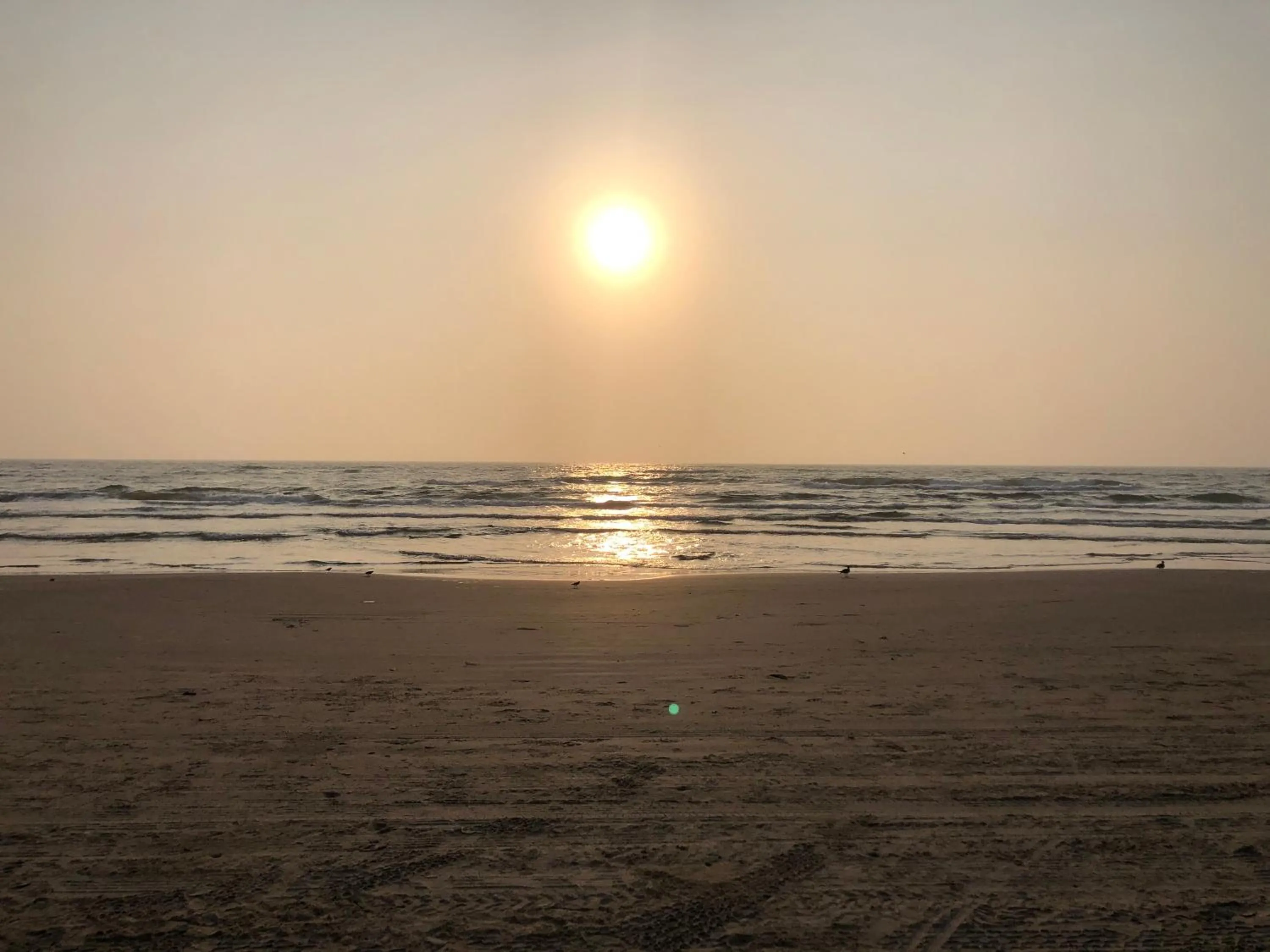 Beach in Sea Dancer #9