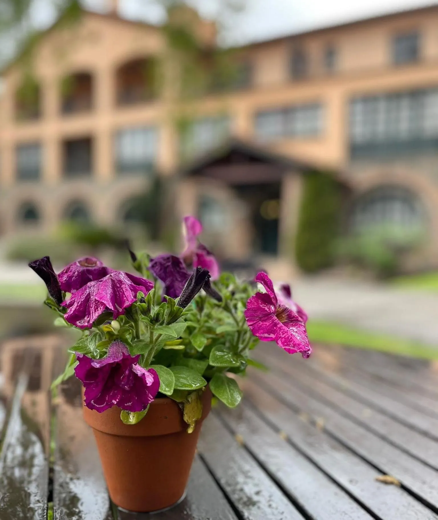 Facade/entrance in Hotel Sant Bernat