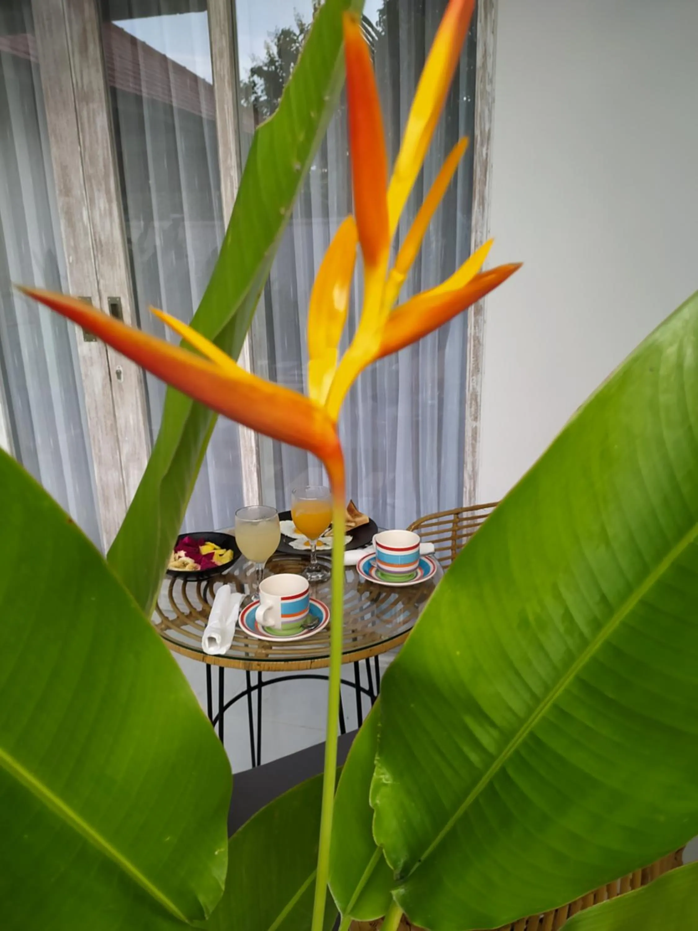 Garden in Villa Bukit Sweet Home