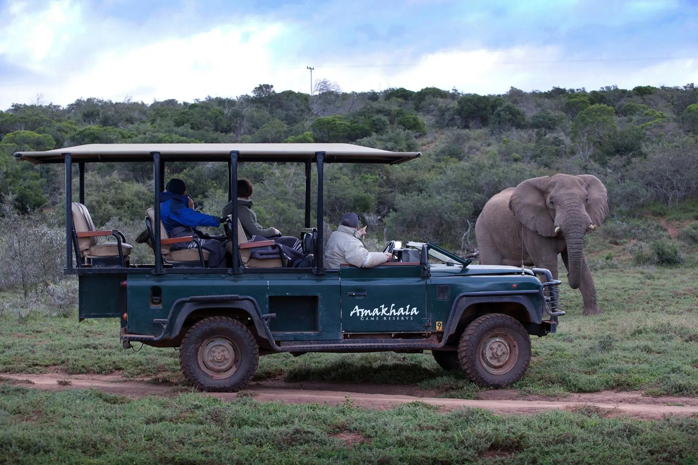 Activities in Bush Lodge – Amakhala Game Reserve