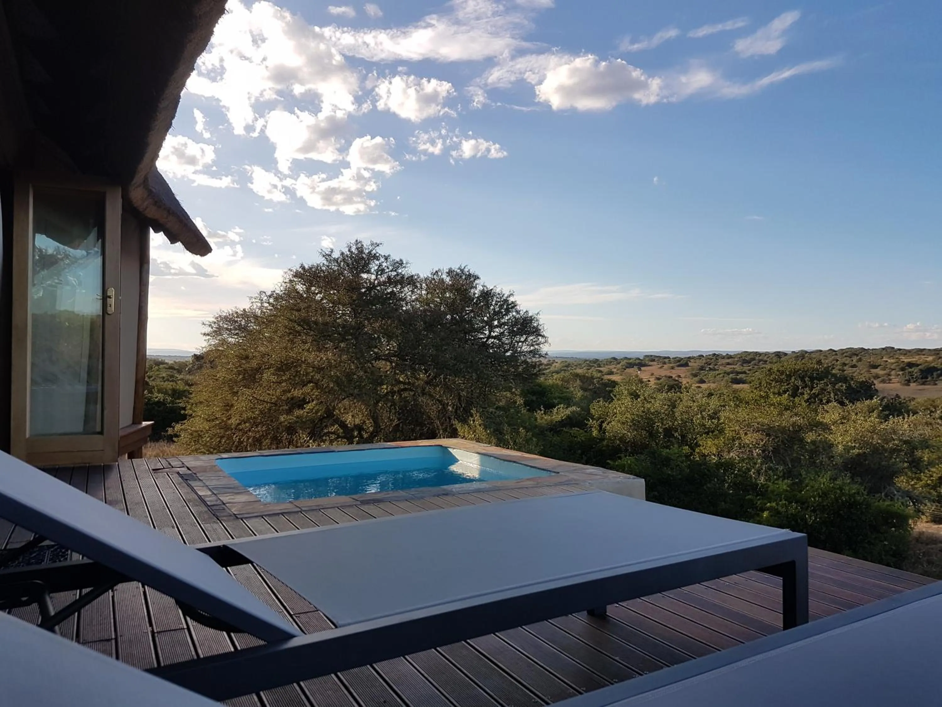 Balcony/Terrace in Bush Lodge – Amakhala Game Reserve