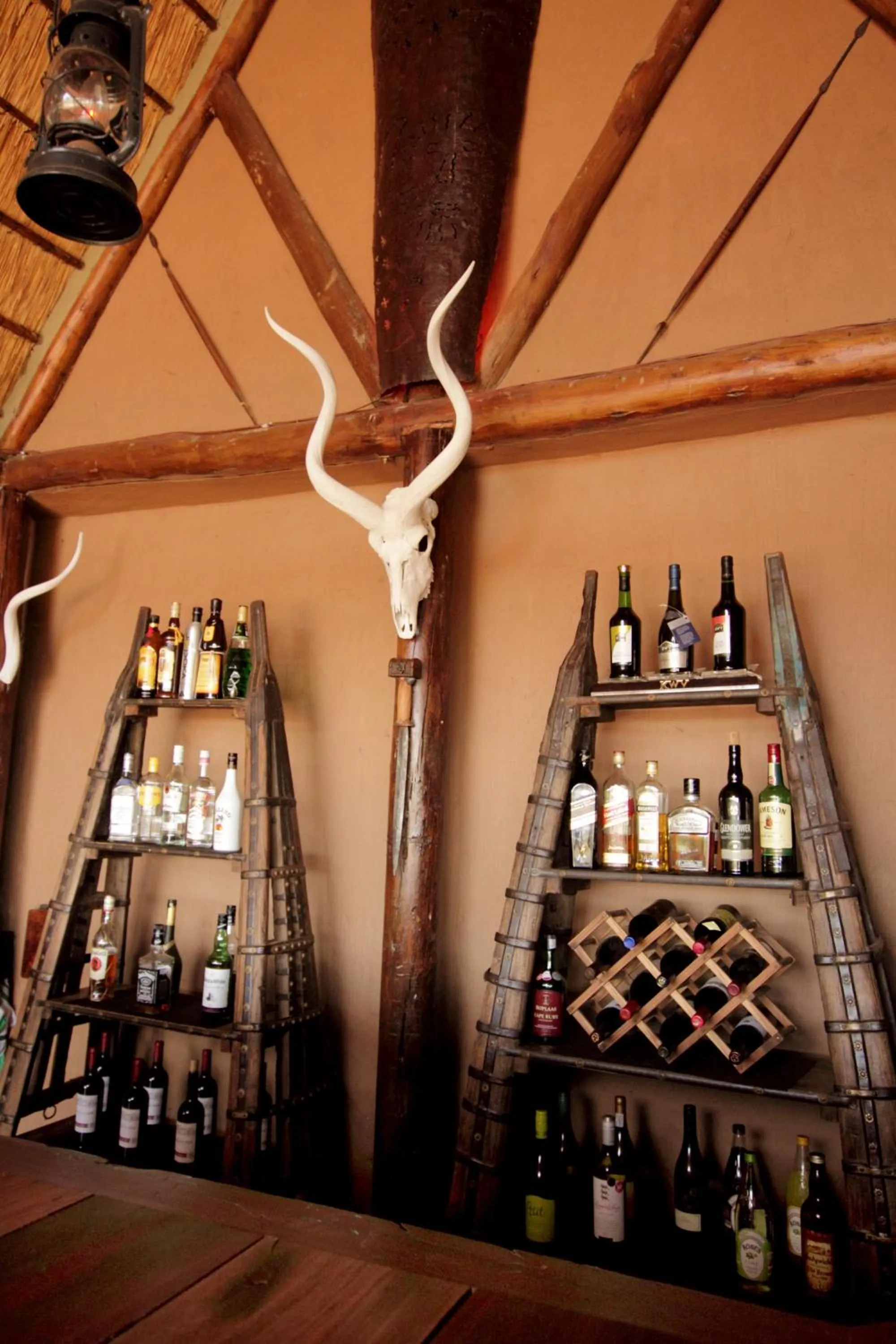 Lounge or bar in Bush Lodge – Amakhala Game Reserve