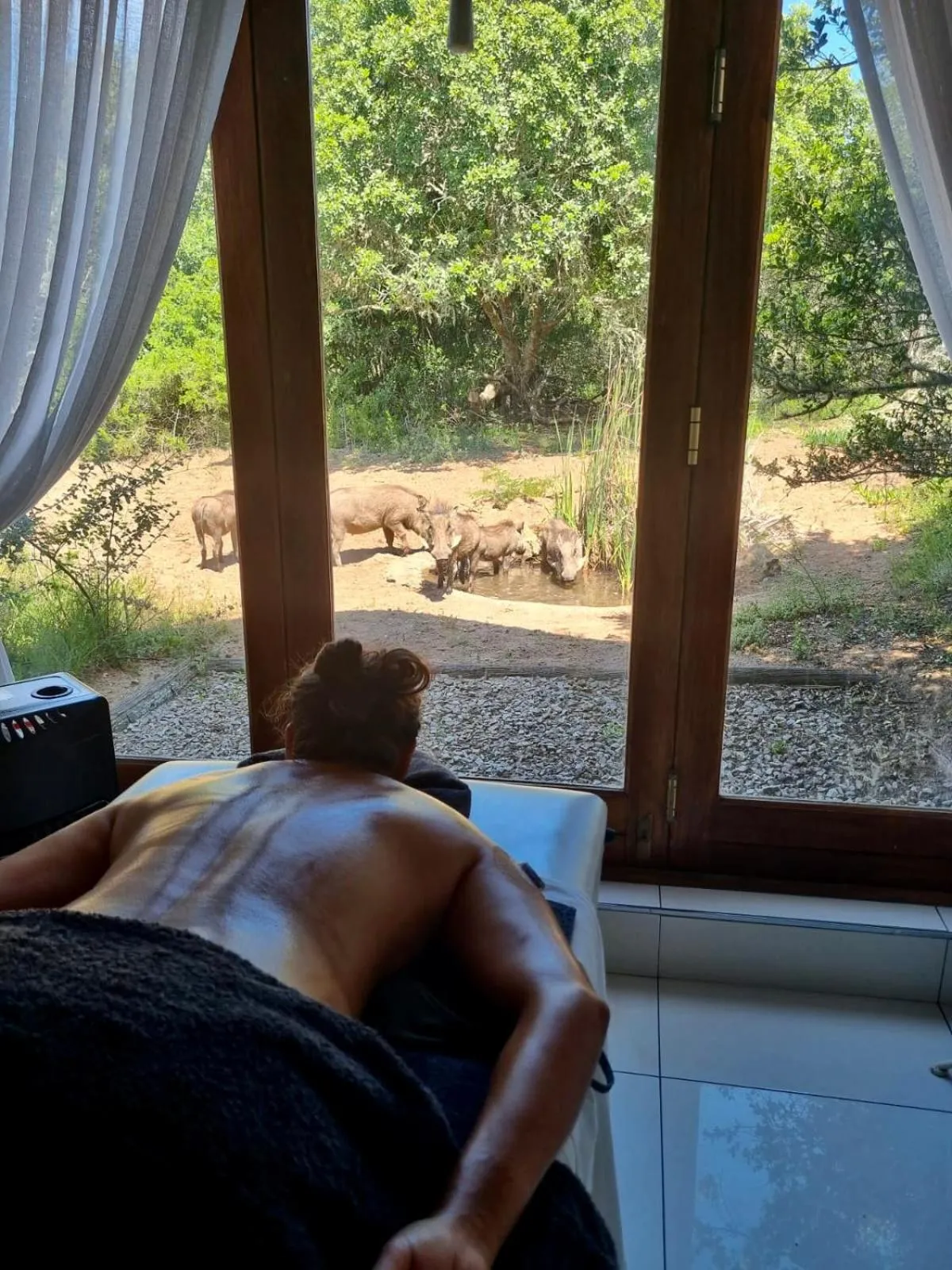 Spa and wellness centre/facilities in Bush Lodge – Amakhala Game Reserve
