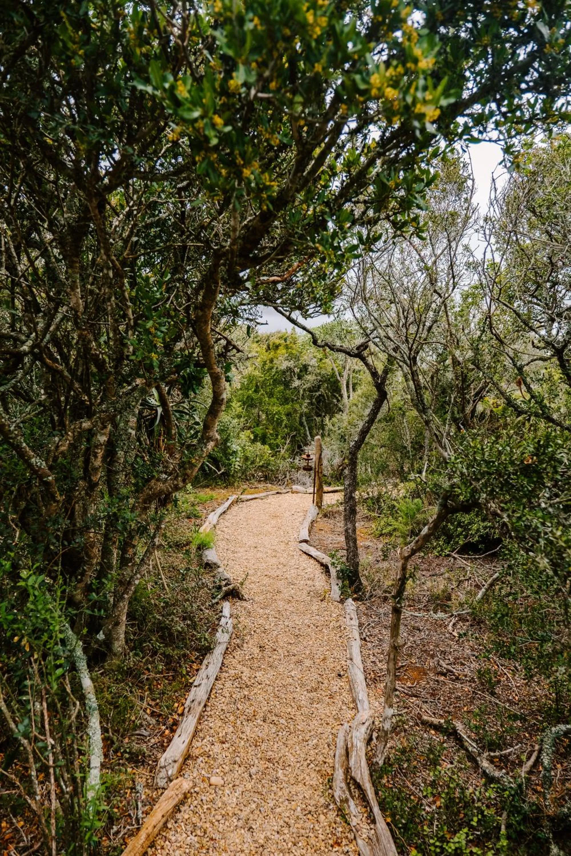 Natural landscape in Woodbury Tented Camp – Amakhala Game Reserve