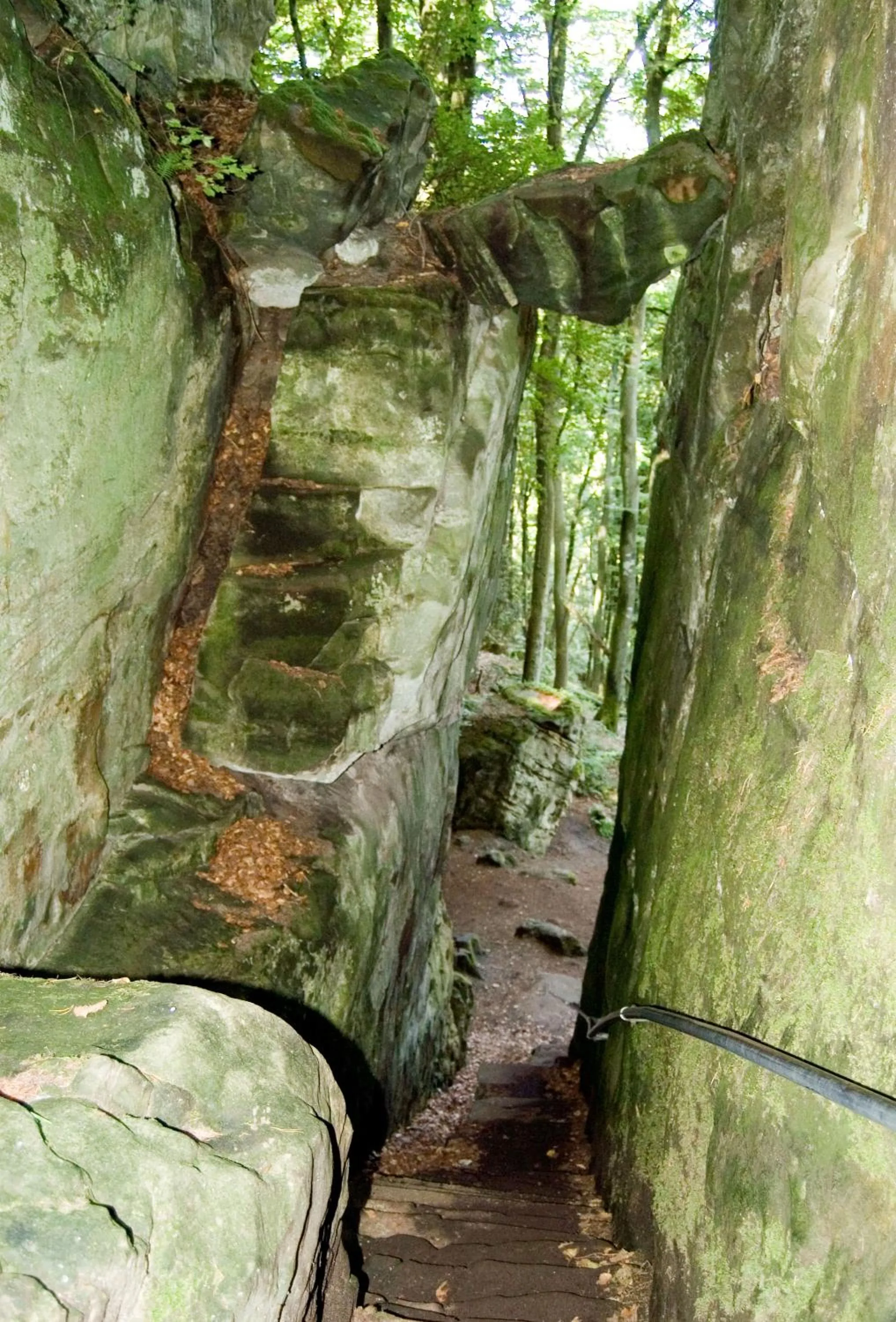 Natural landscape in Hotel Hauer