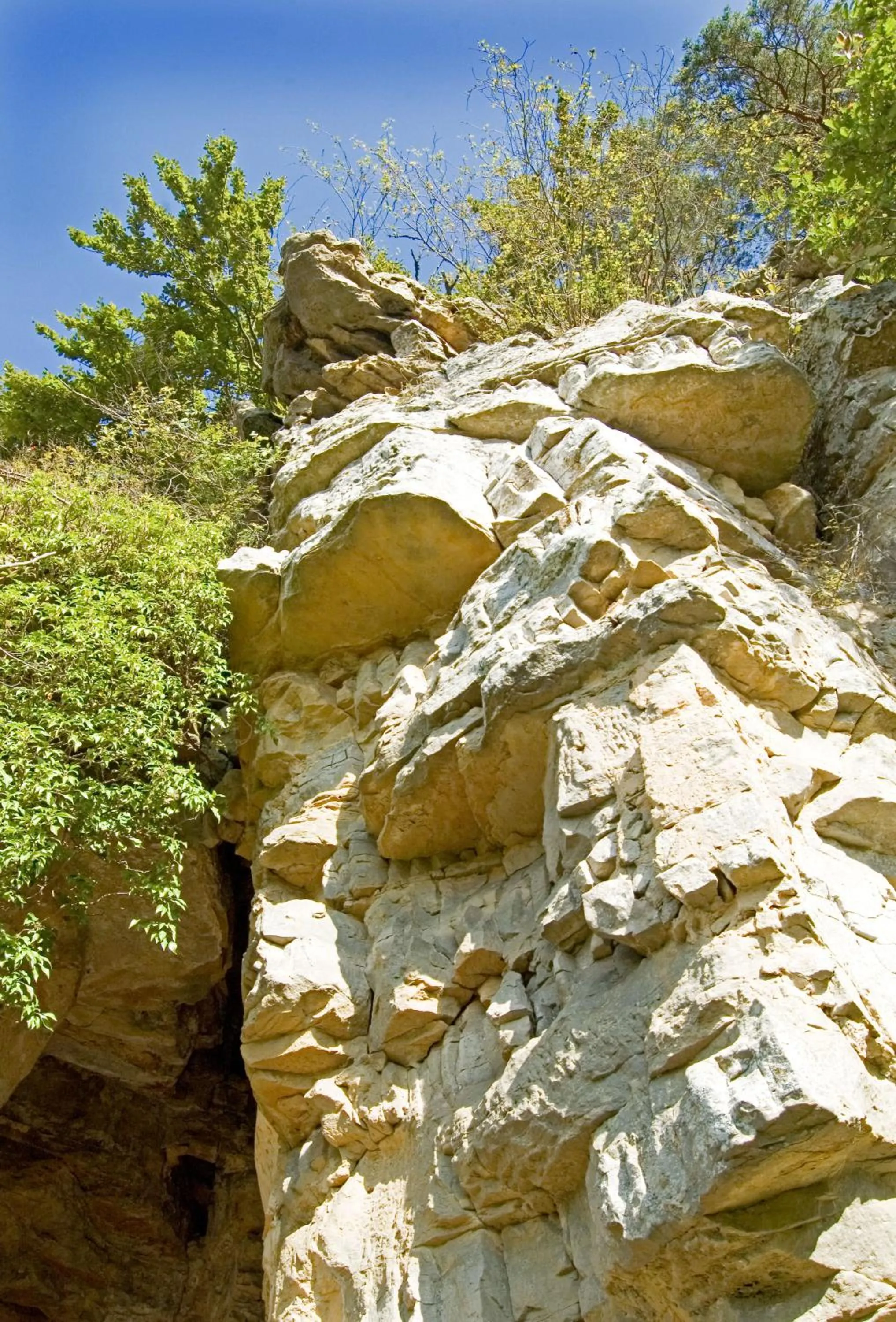 Natural landscape in Hotel Hauer