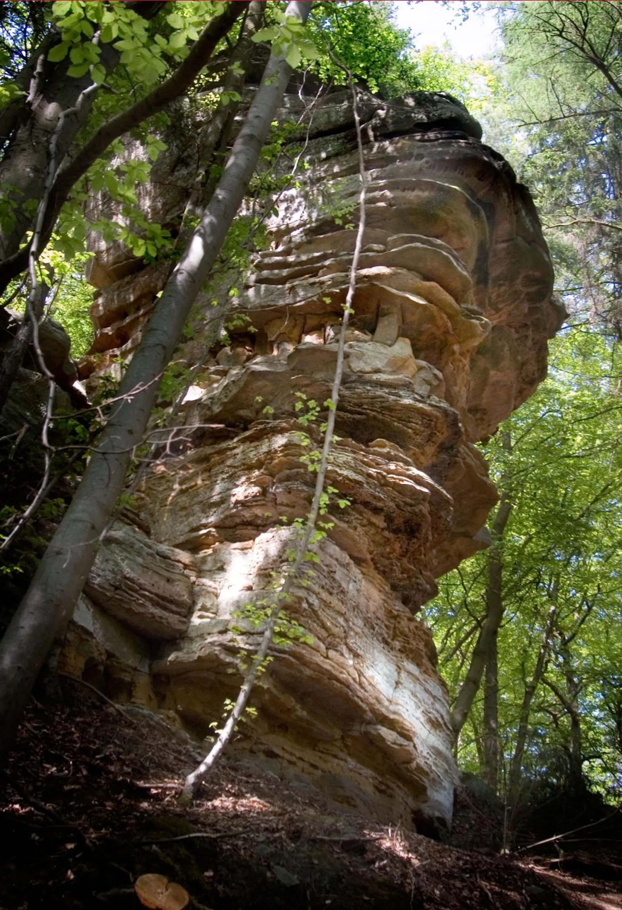 Natural landscape in Hotel Hauer