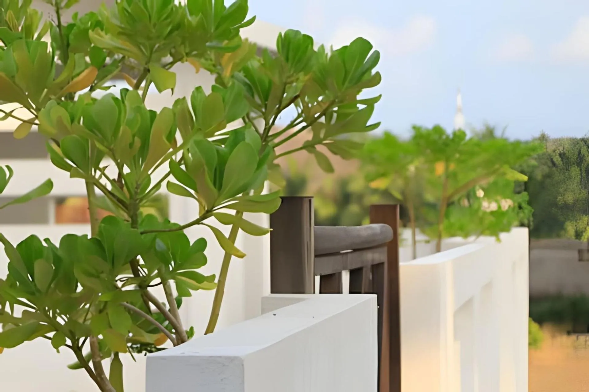 Decorative detail in La Aurora Puerto Escondido