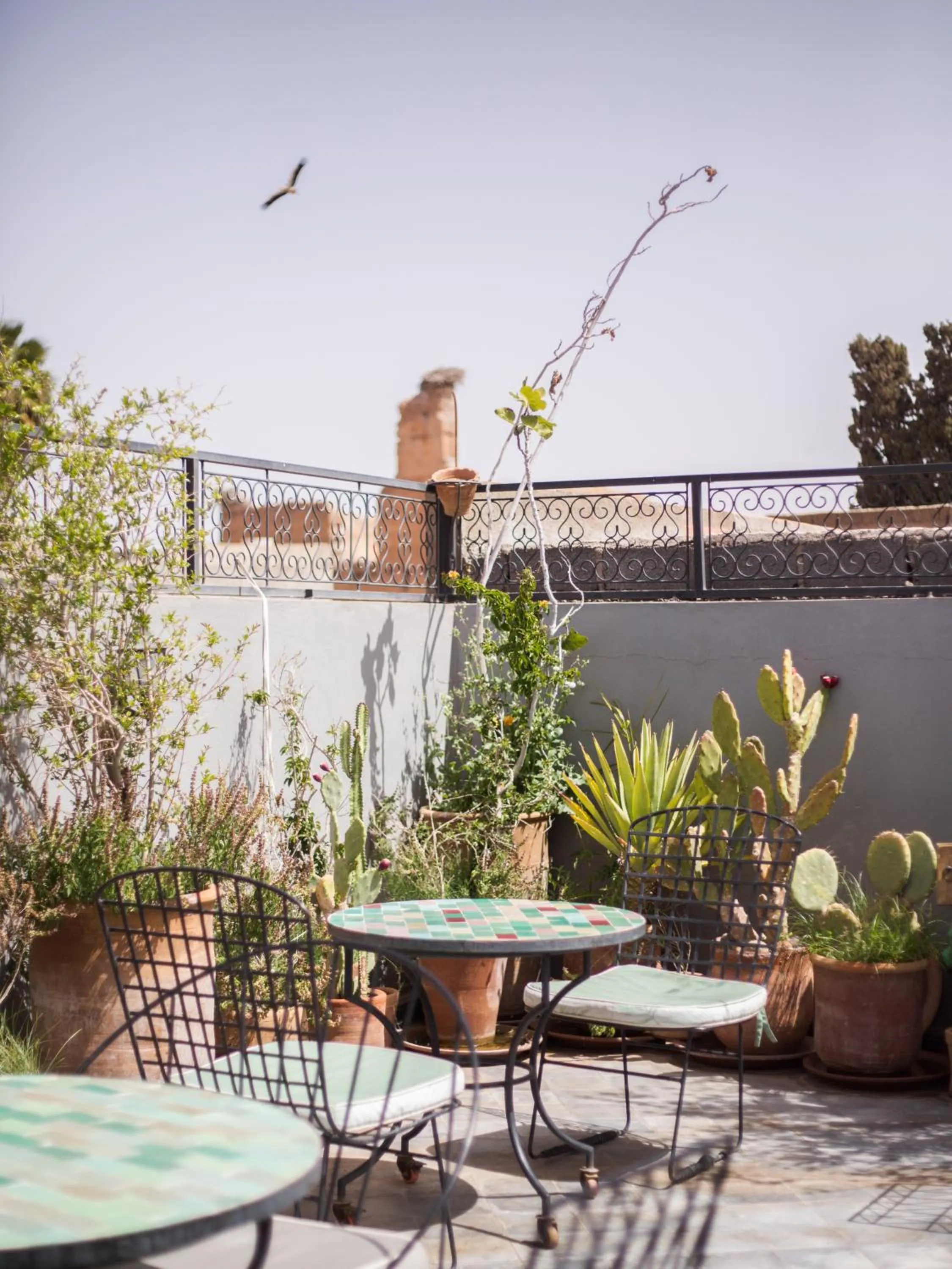 View (from property/room) in Riad Le Petit Joyau