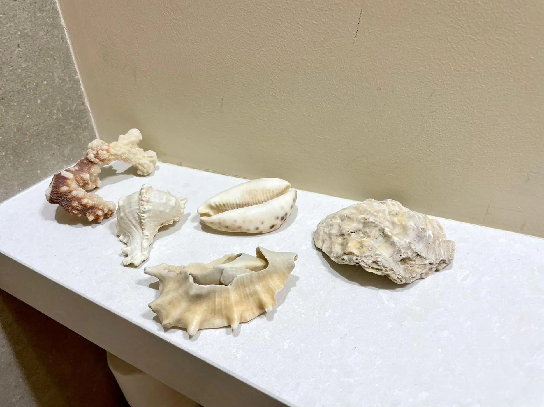 Bathroom in Beit Elfarasha