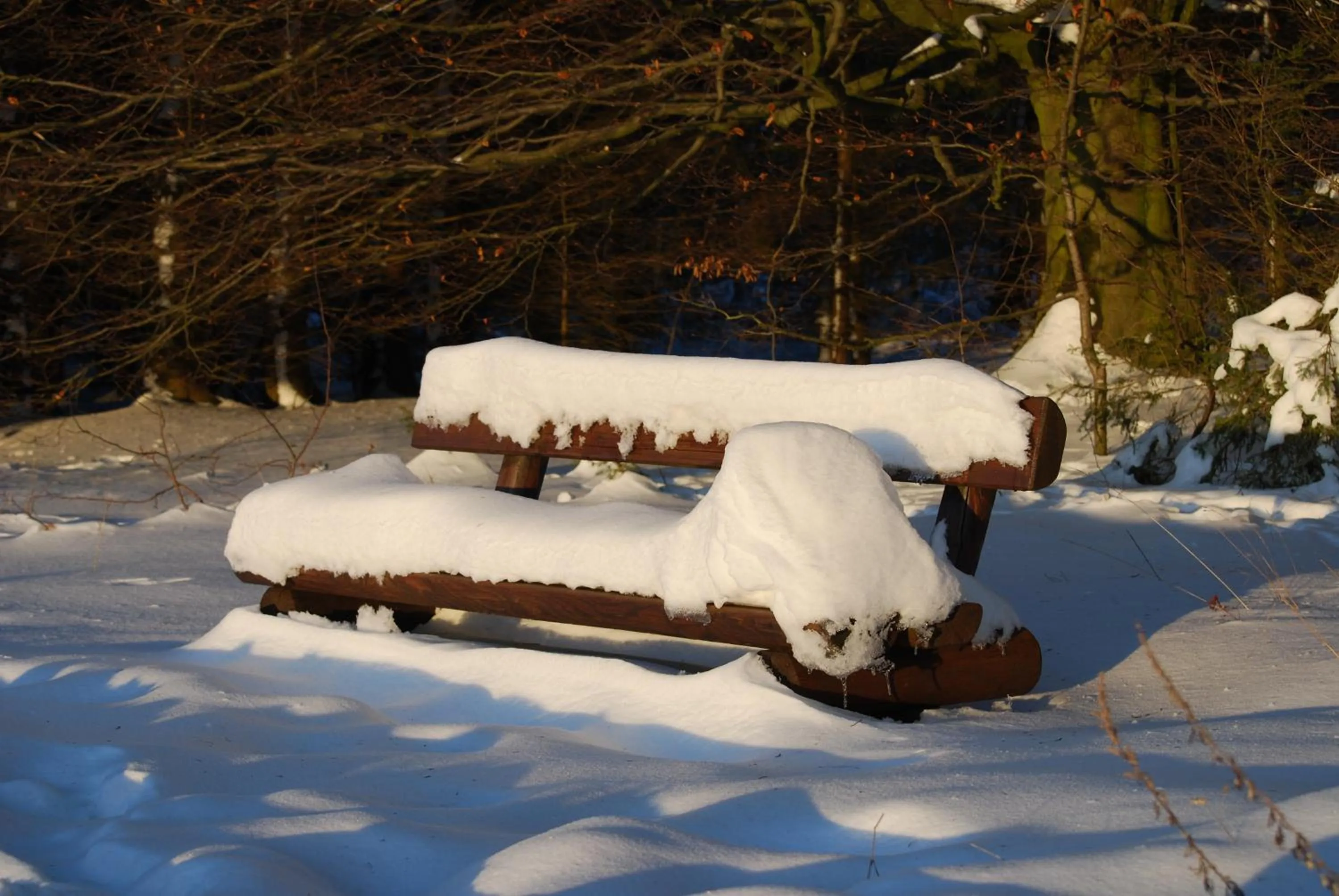 Natural landscape in Hotel Waldhaus Föckinghausen
