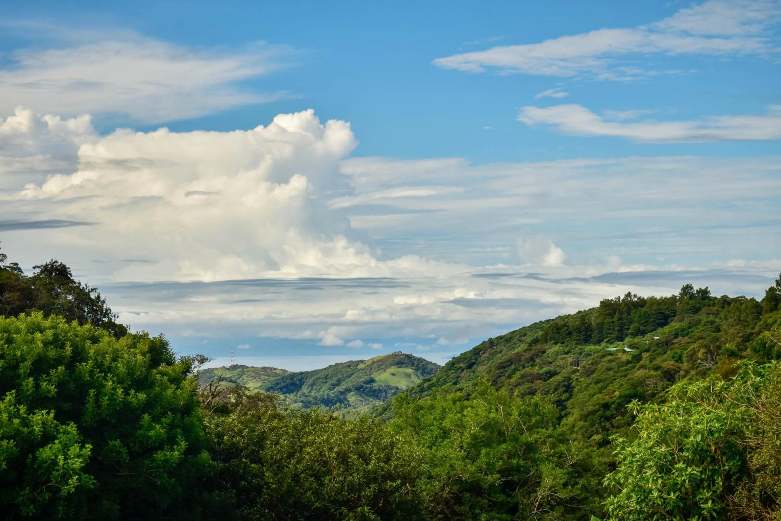 Mountain view in Cabinas Selva Verde