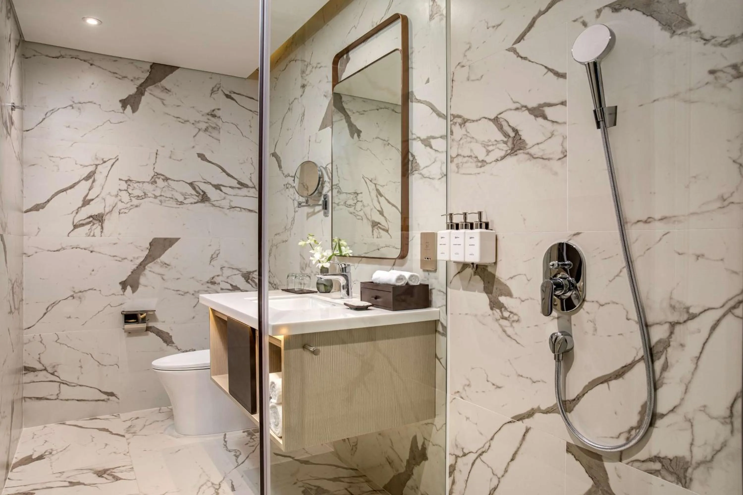 Toilet in Radisson Hotel Danang