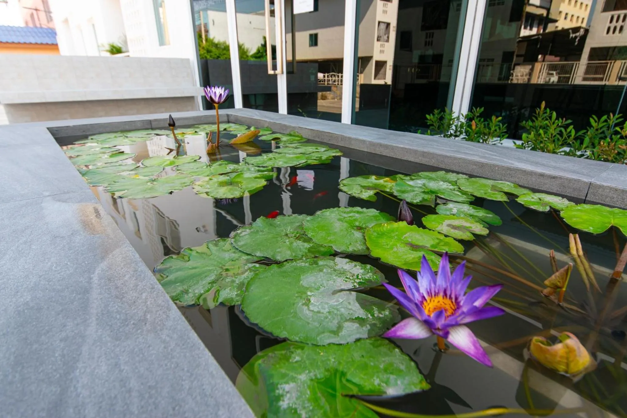 Property building in Matini Premium @ Klong 1