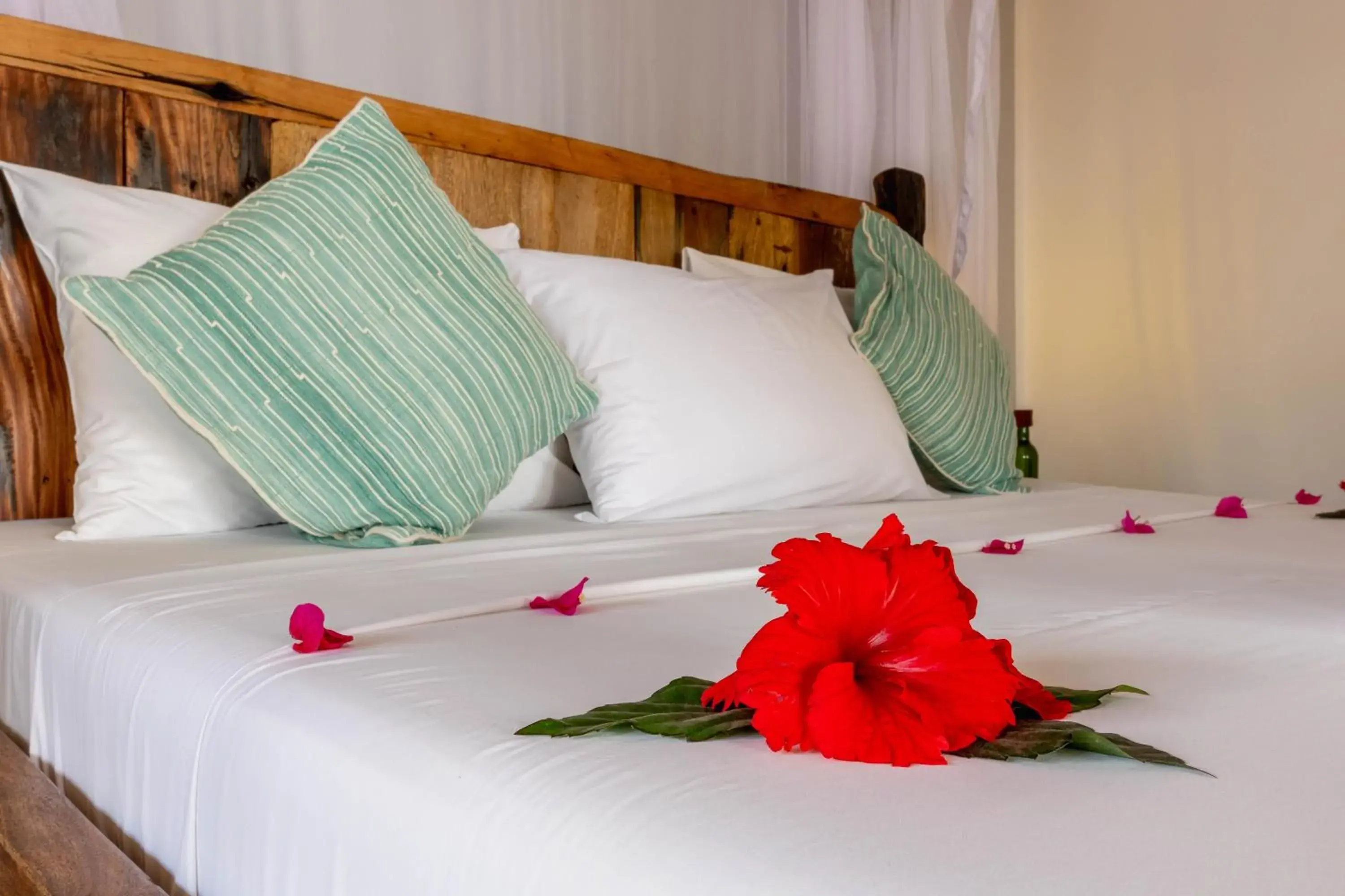 Family Suite with Balcony in Aluna Paje Family Suite with Balcony in Aluna Paje